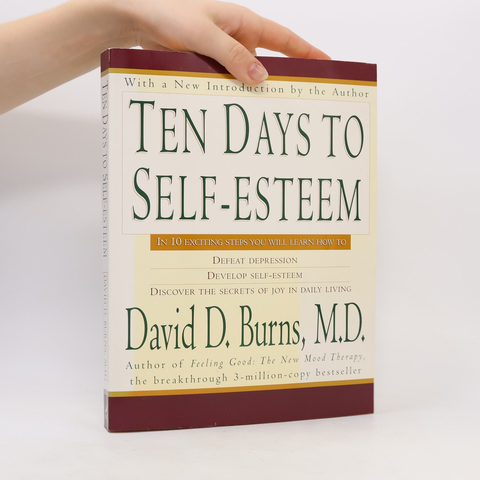 David D. Burns Ten Days to Self-Esteem