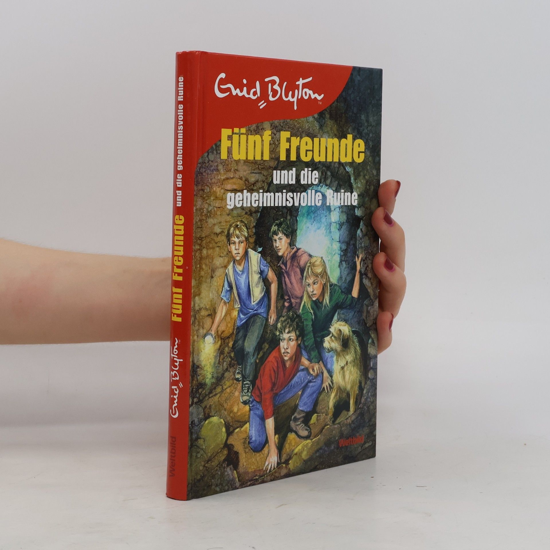 Enid Blyton Fünf Freunde und die geheimnisvolle Ruine