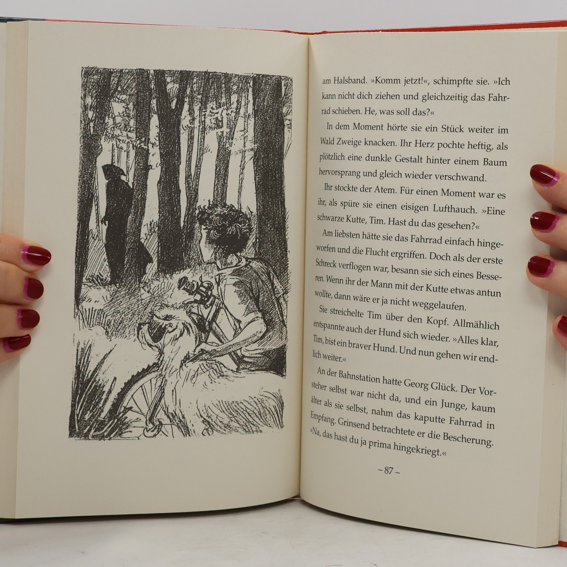 Enid Blyton Fünf Freunde und die geheimnisvolle Ruine