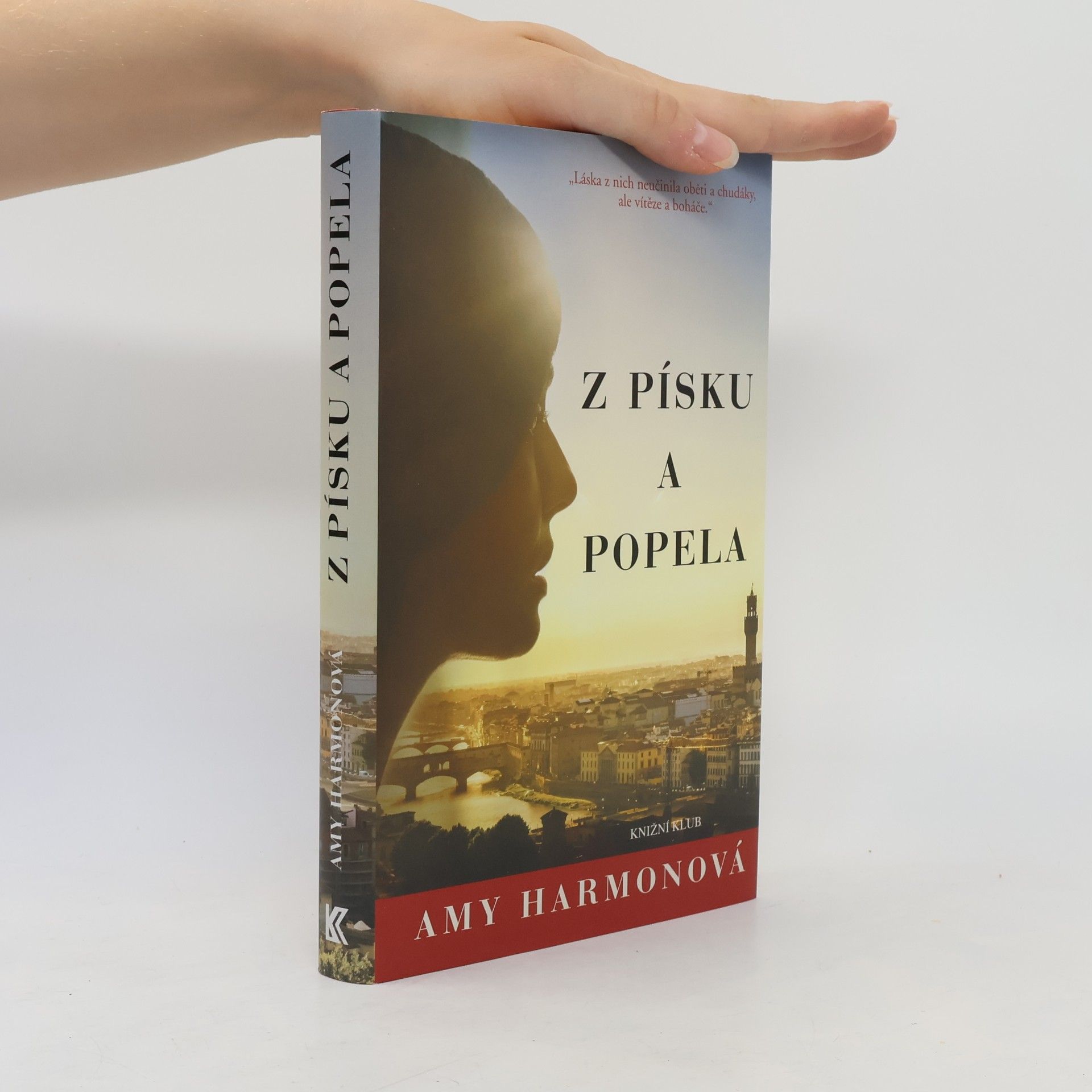 Amy Harmon Z písku a popela
