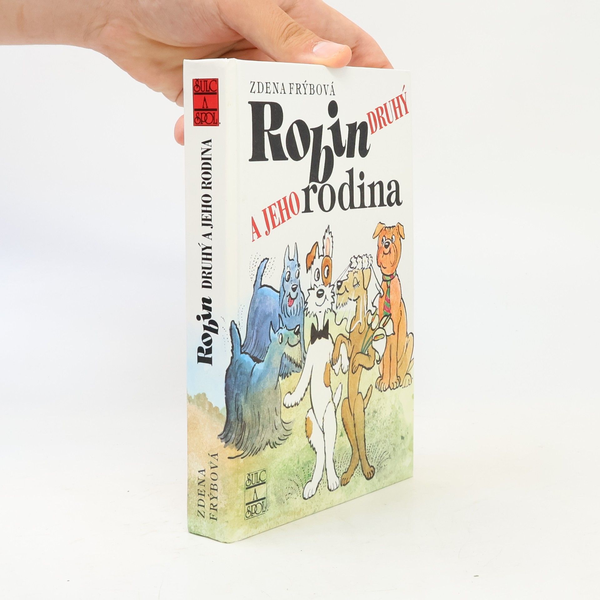 Zdena Frýbová Robin Druhý a jeho rodina