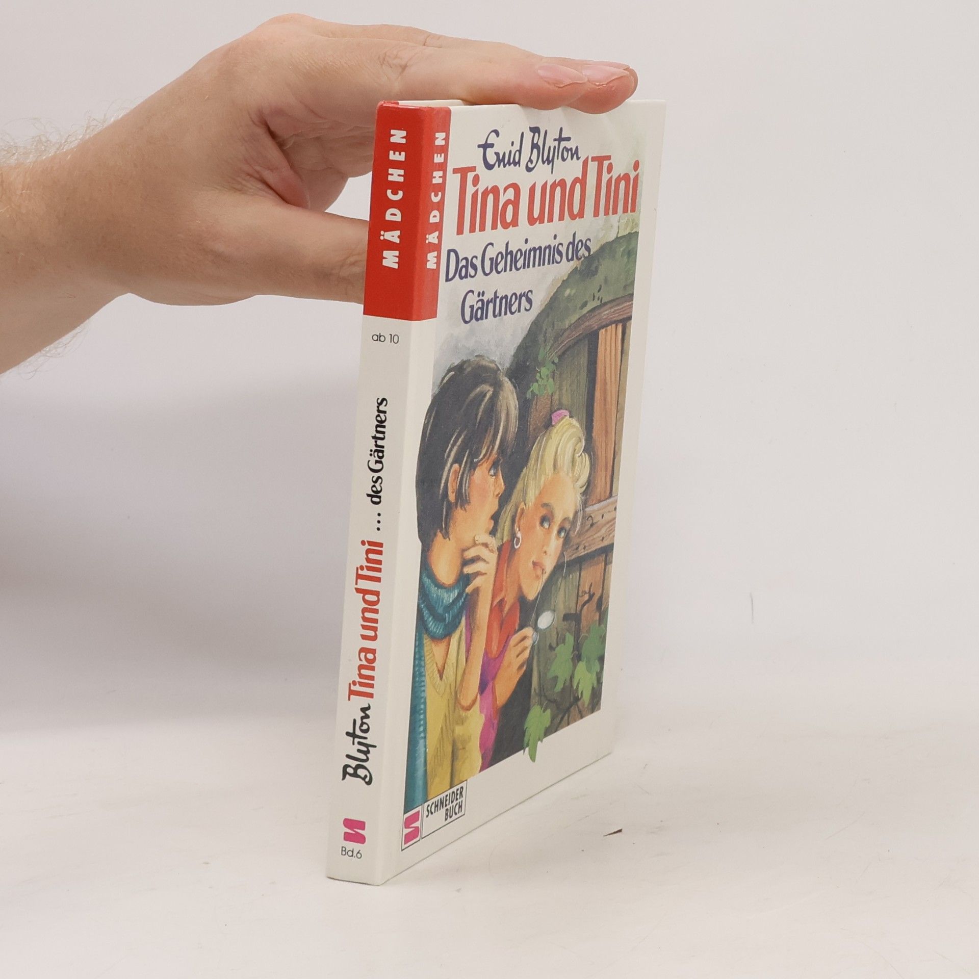 Enid Blyton Tina und Tini - Das Geheimnis des Gärtners