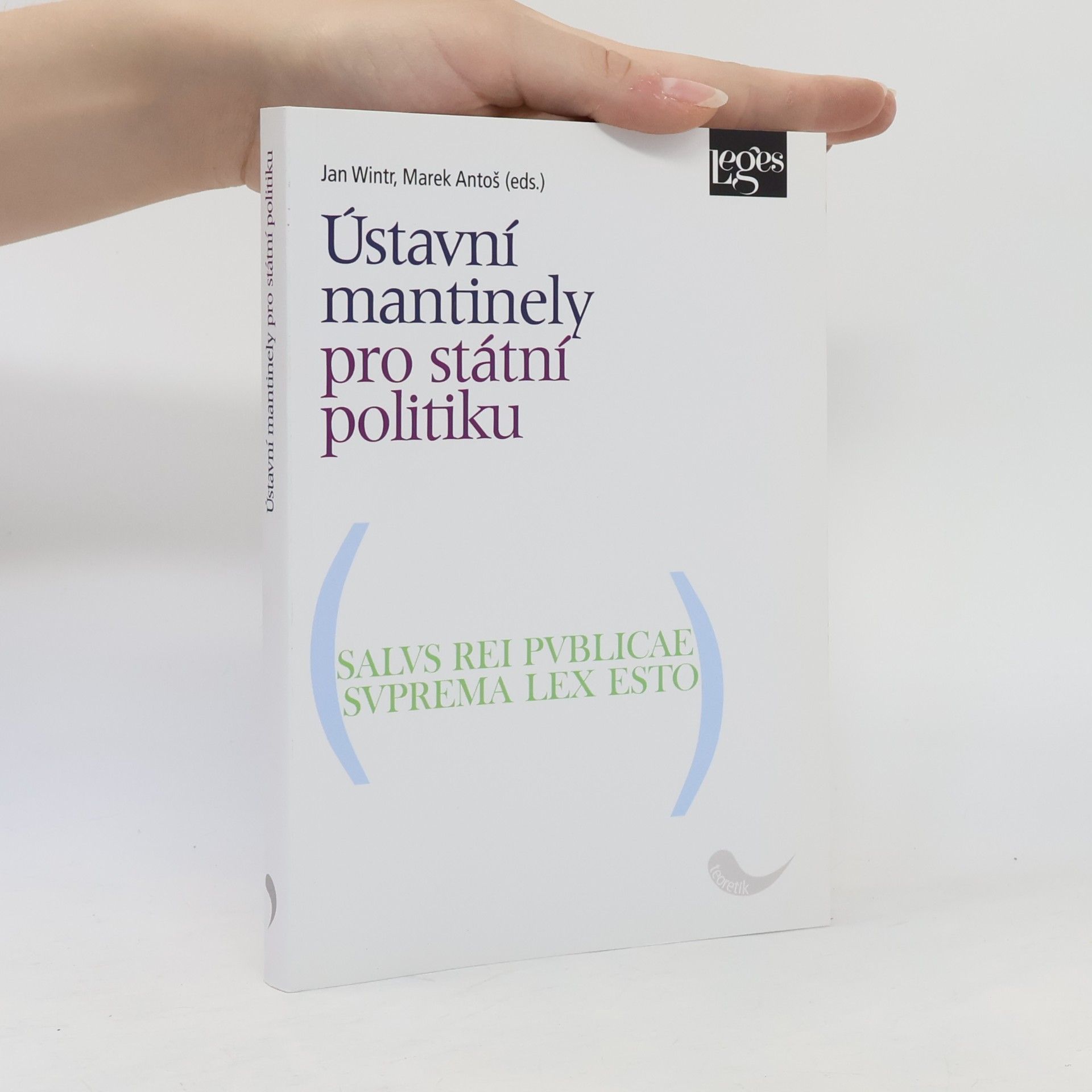 Ústavní mantinely pro státní politiku