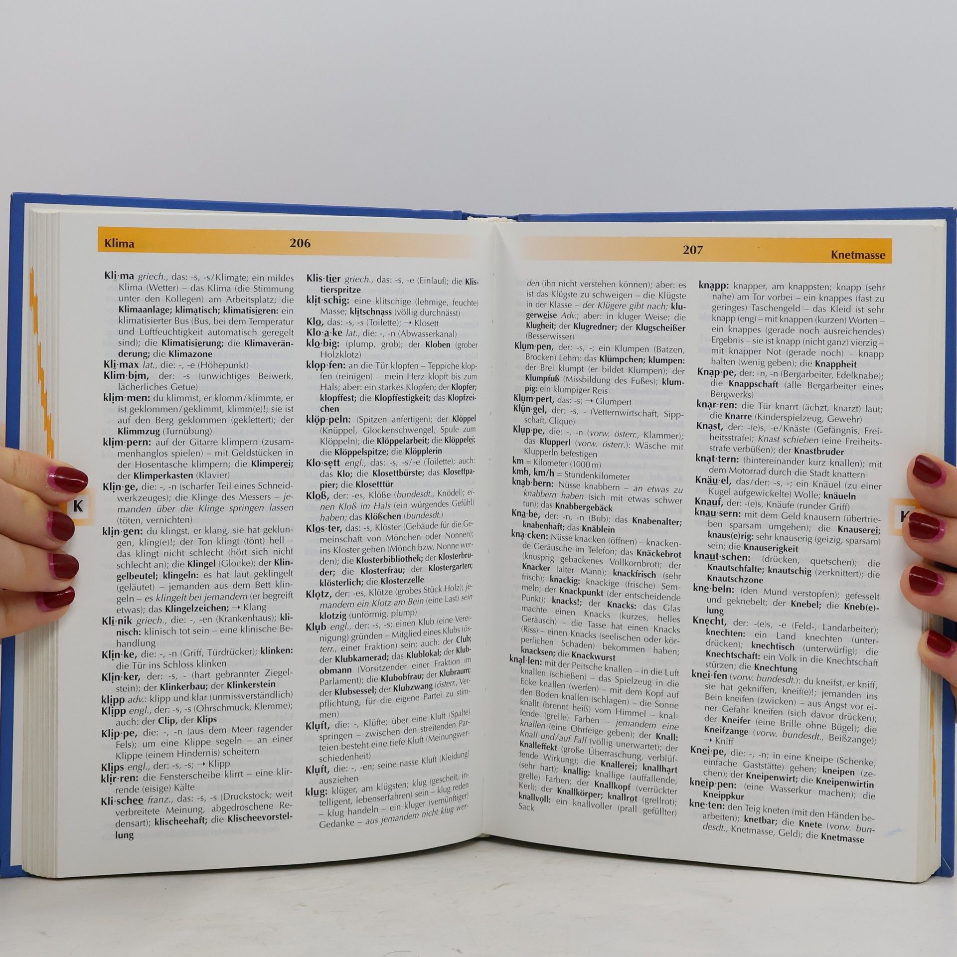 Josef Greil Wortprofi. Schulwörterbuch für Österreich