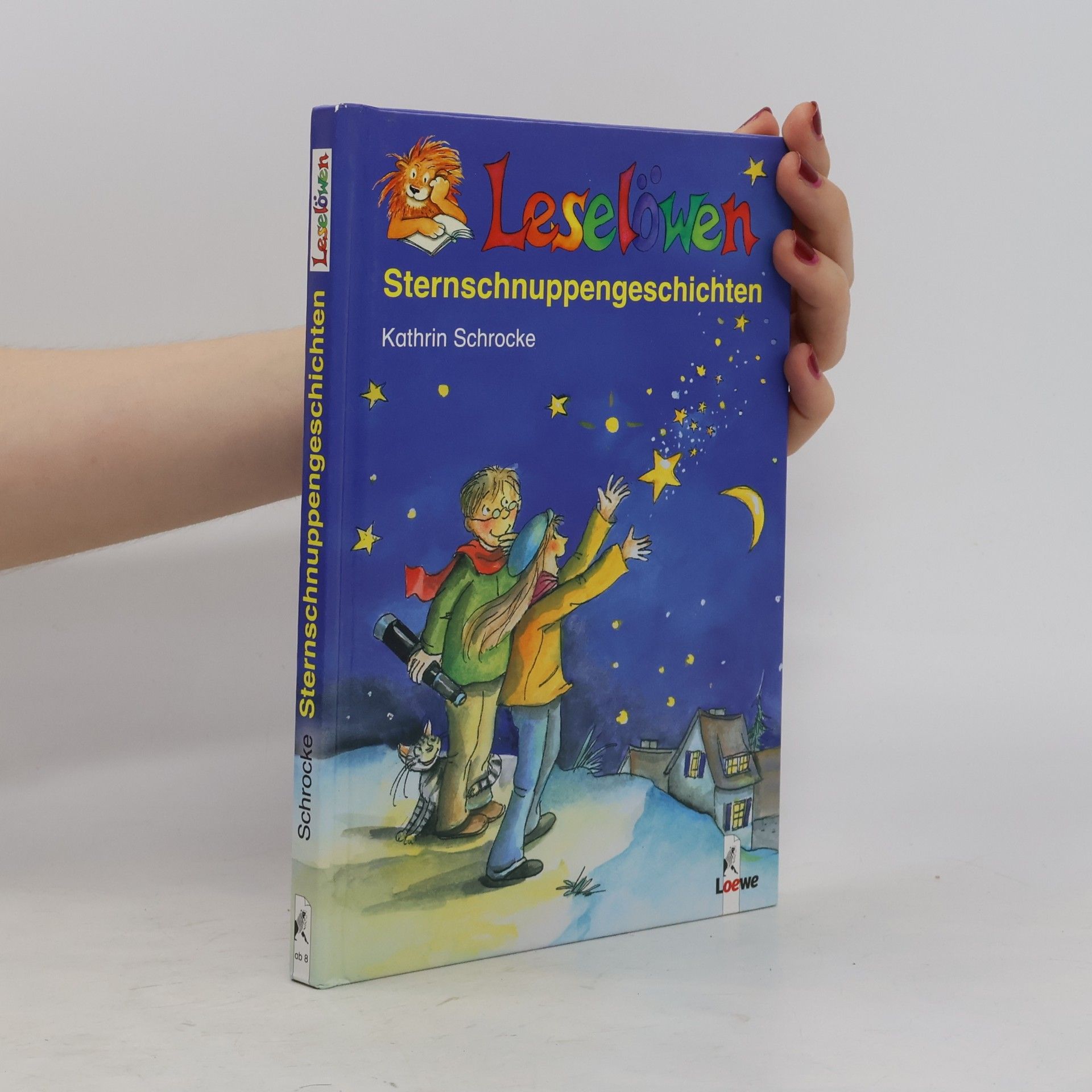 Leselöwen-Sternschnuppengeschichten