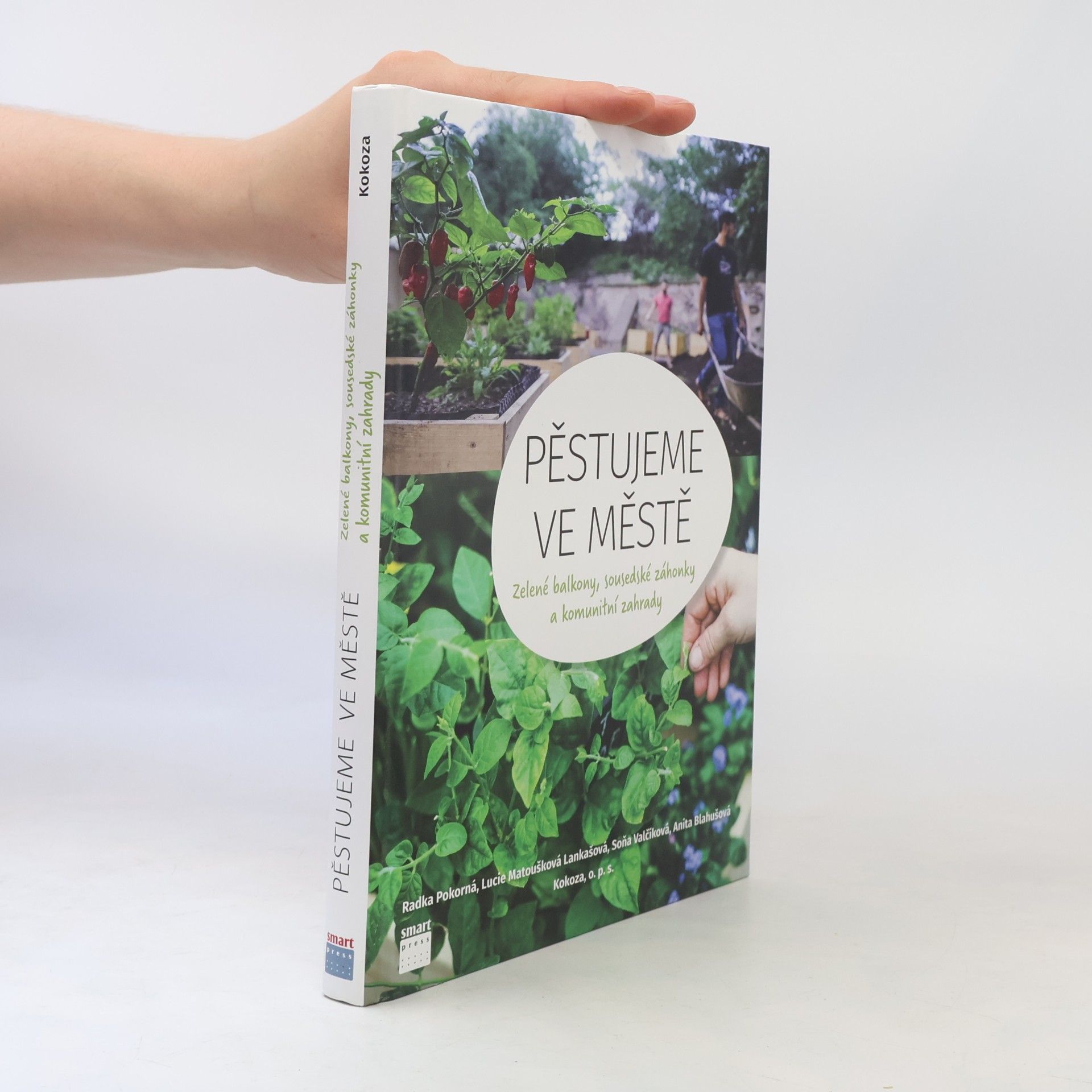 Pěstujeme ve městě. Zelené balkony, sousedské záhonky a komunitní zahrady