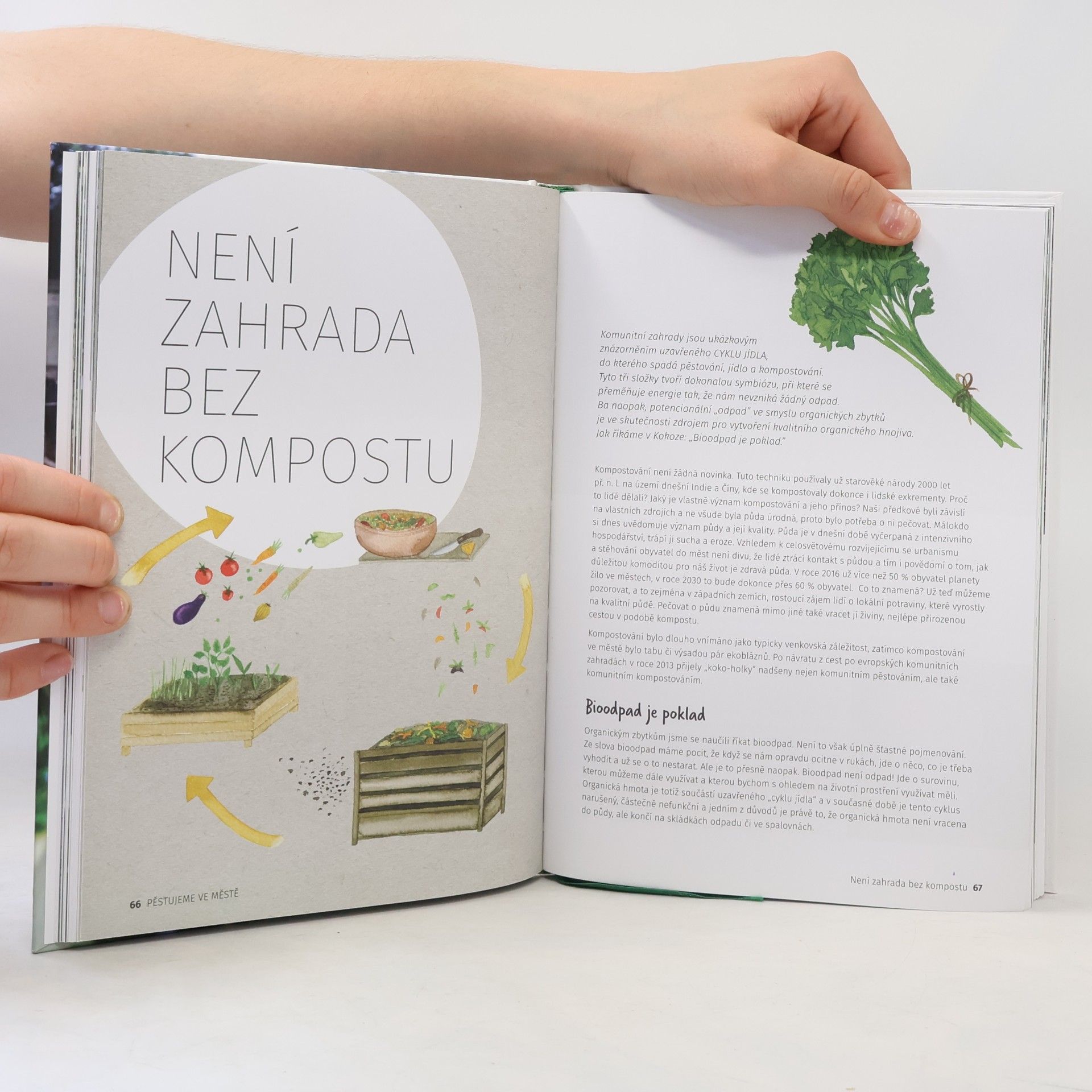 Radka Pokorná Pěstujeme ve městě. Zelené balkony, sousedské záhonky a komunitní zahrady
