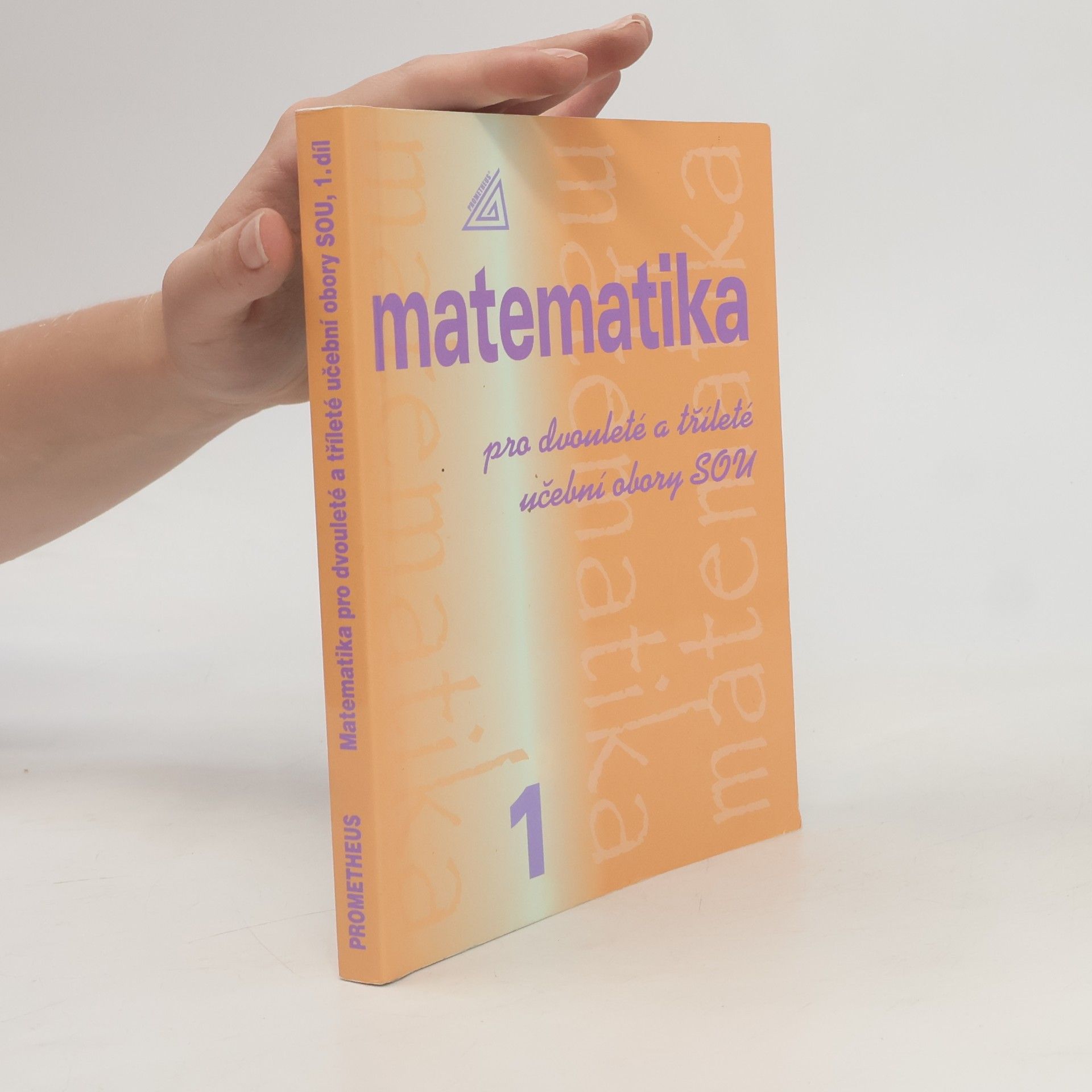 Matematika pro dvouleté a tříleté učební obory SOU. 1. díl