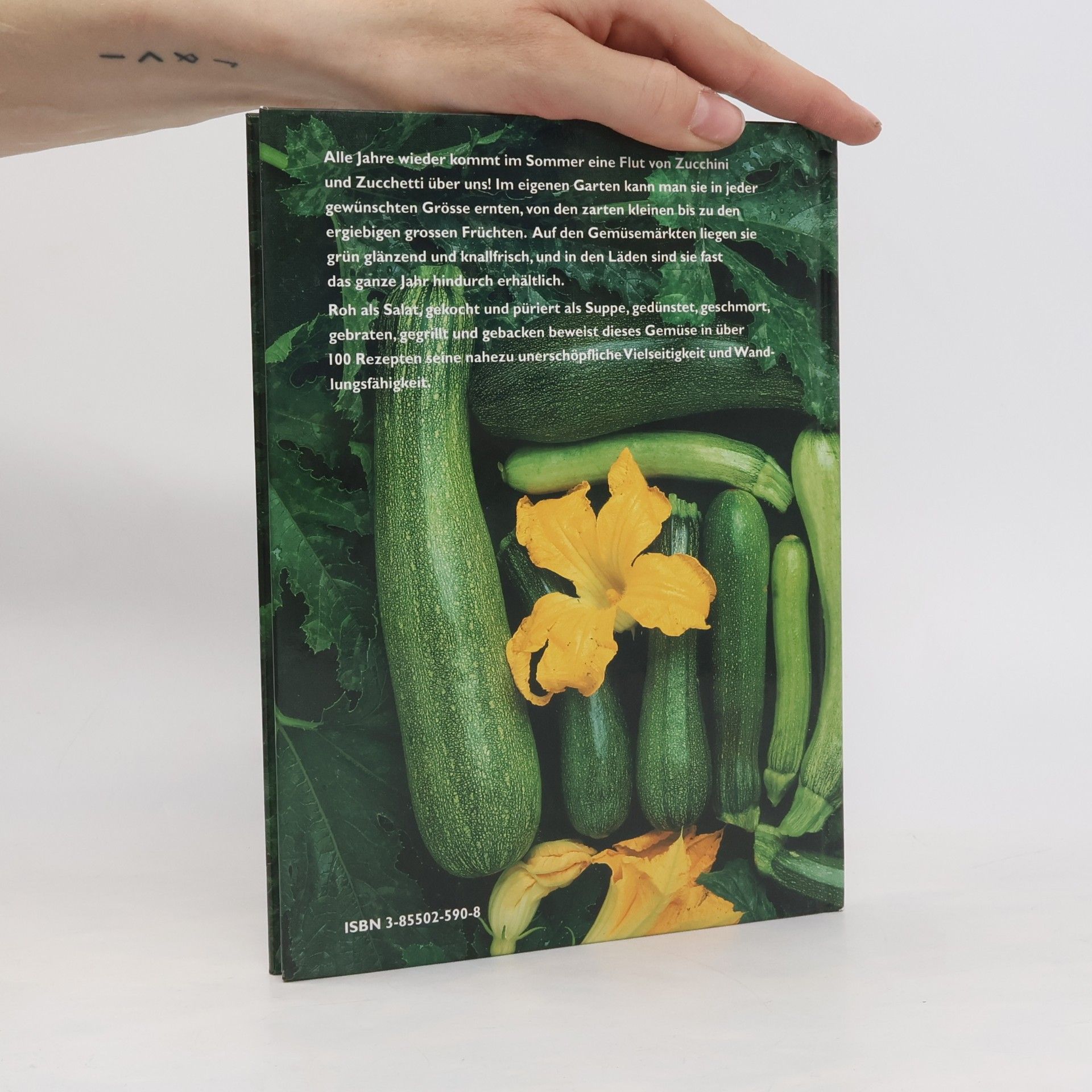 Julie Landis Sager Zucchini, Zucchetti