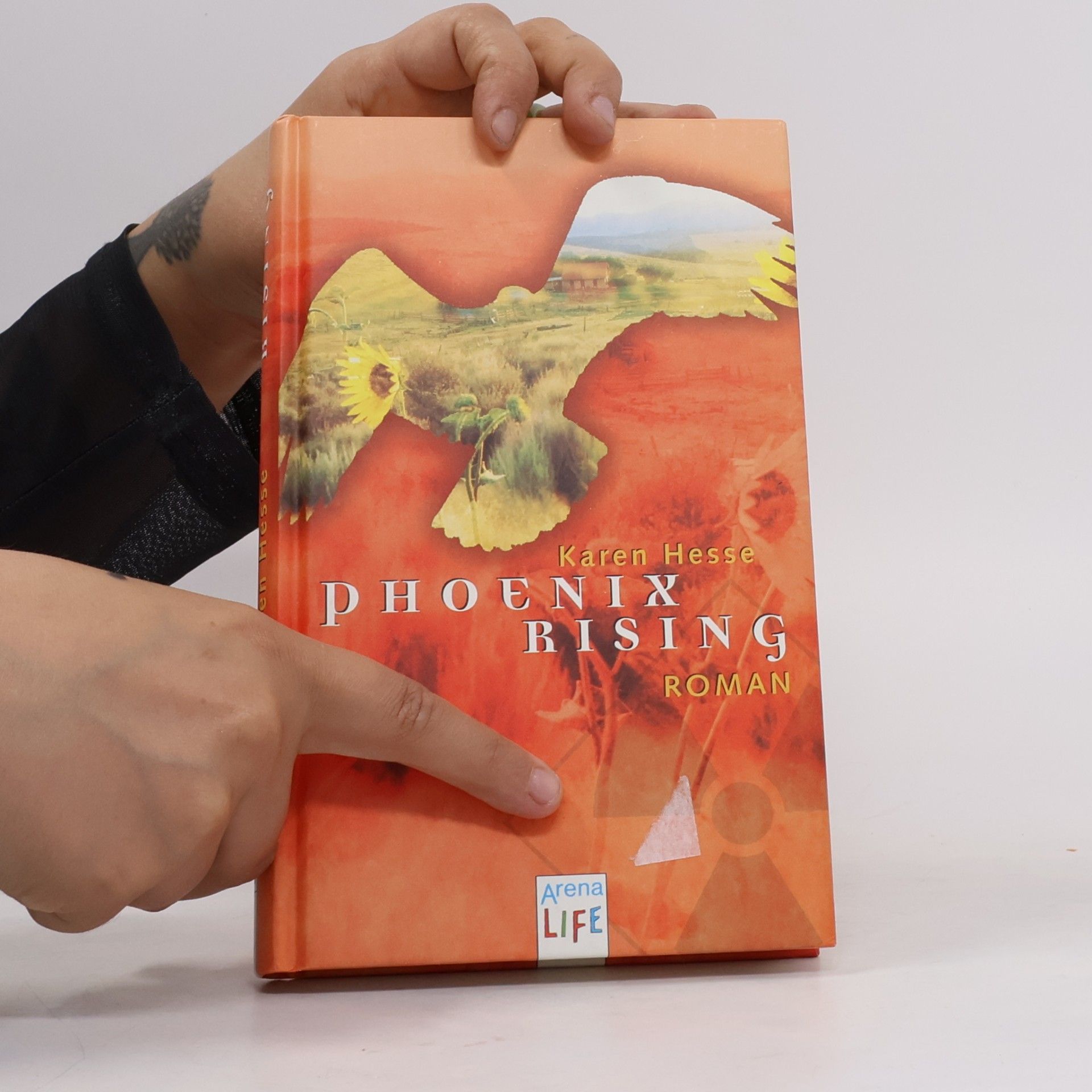 Karen Hesse Phoenix rising