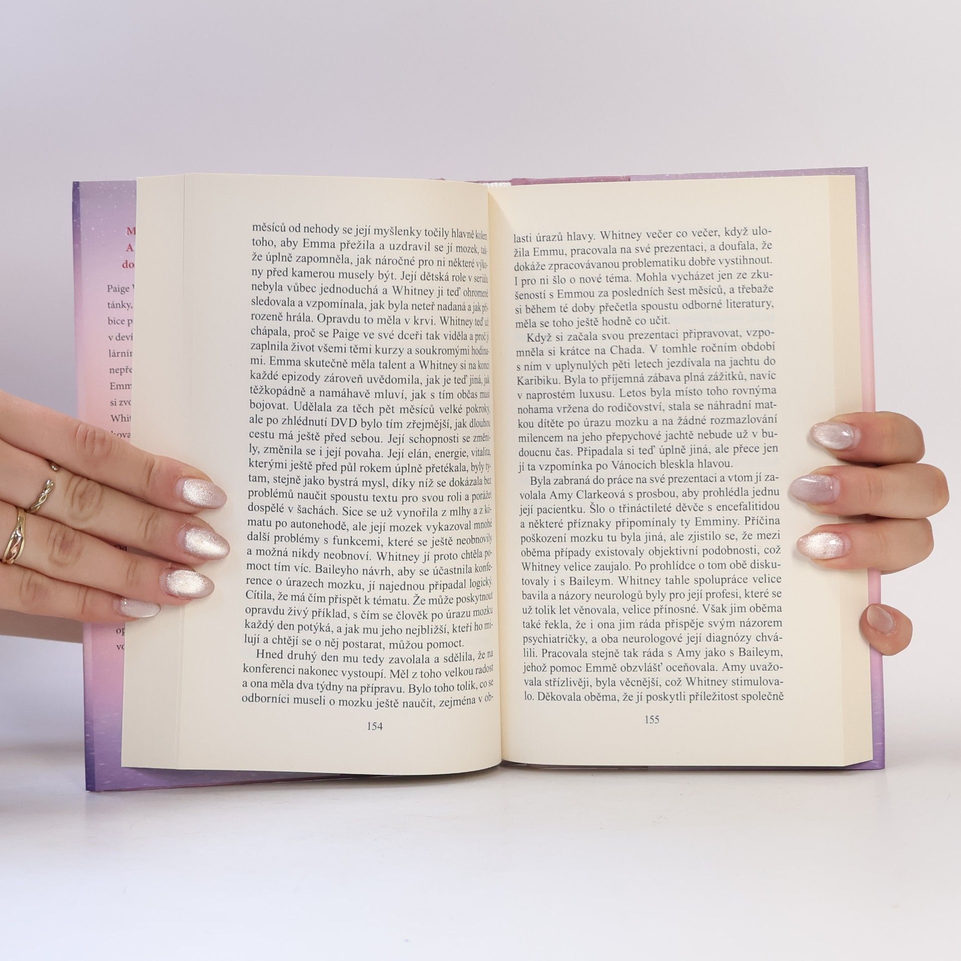 Danielle Steel Tichá noc
