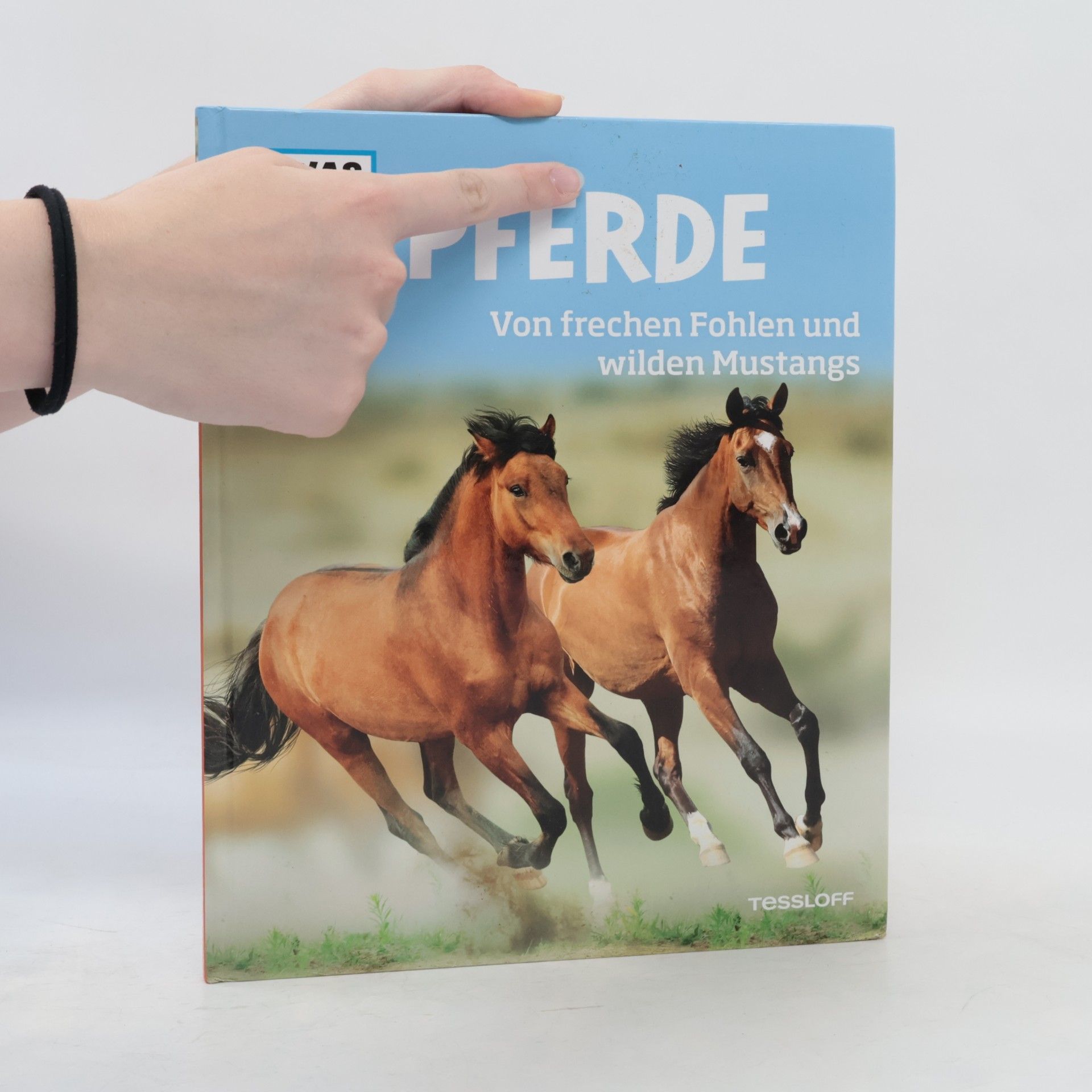 Silke Behling Pferde. Von frechen Fohlen und wilden Mustangs.