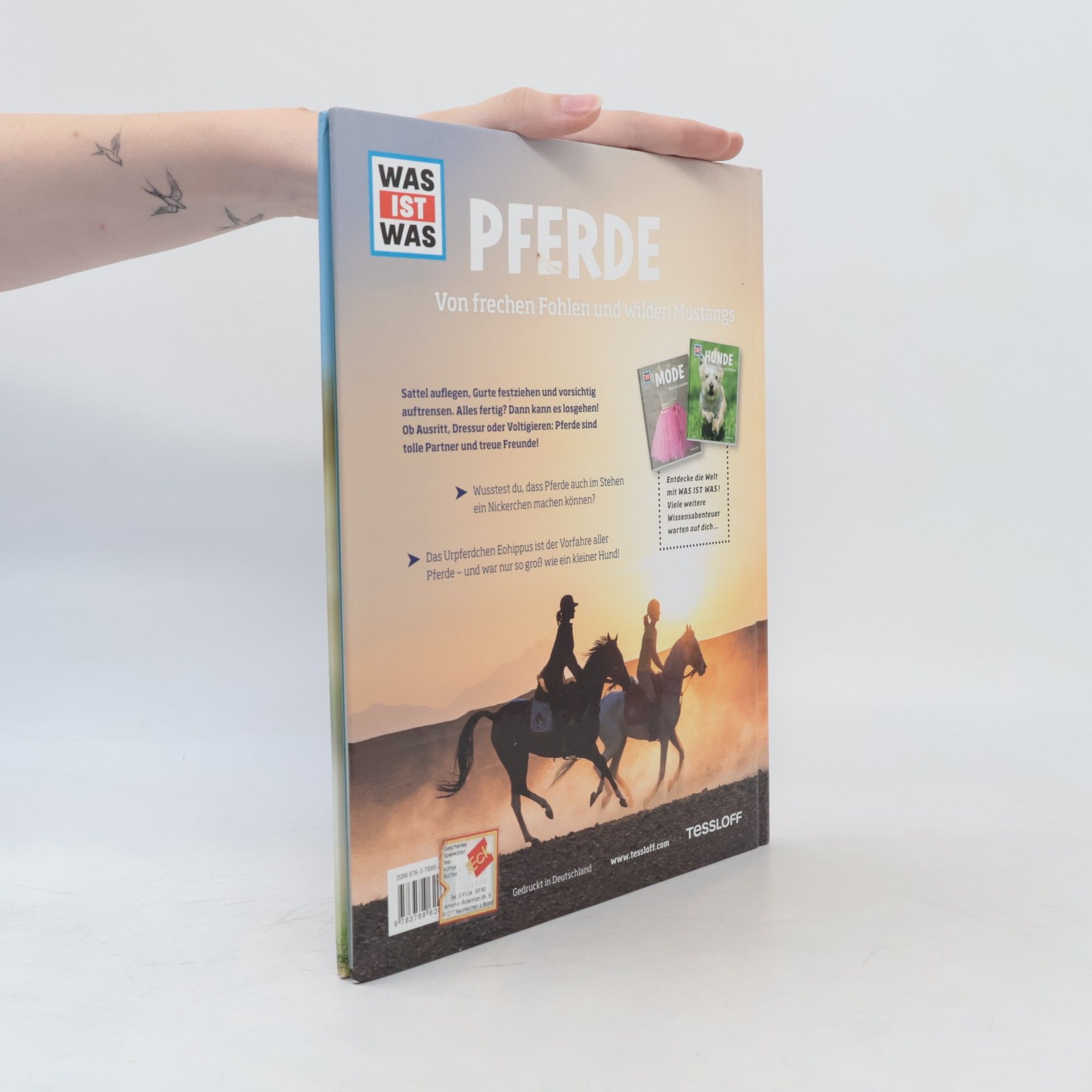 Silke Behling Pferde. Von frechen Fohlen und wilden Mustangs.