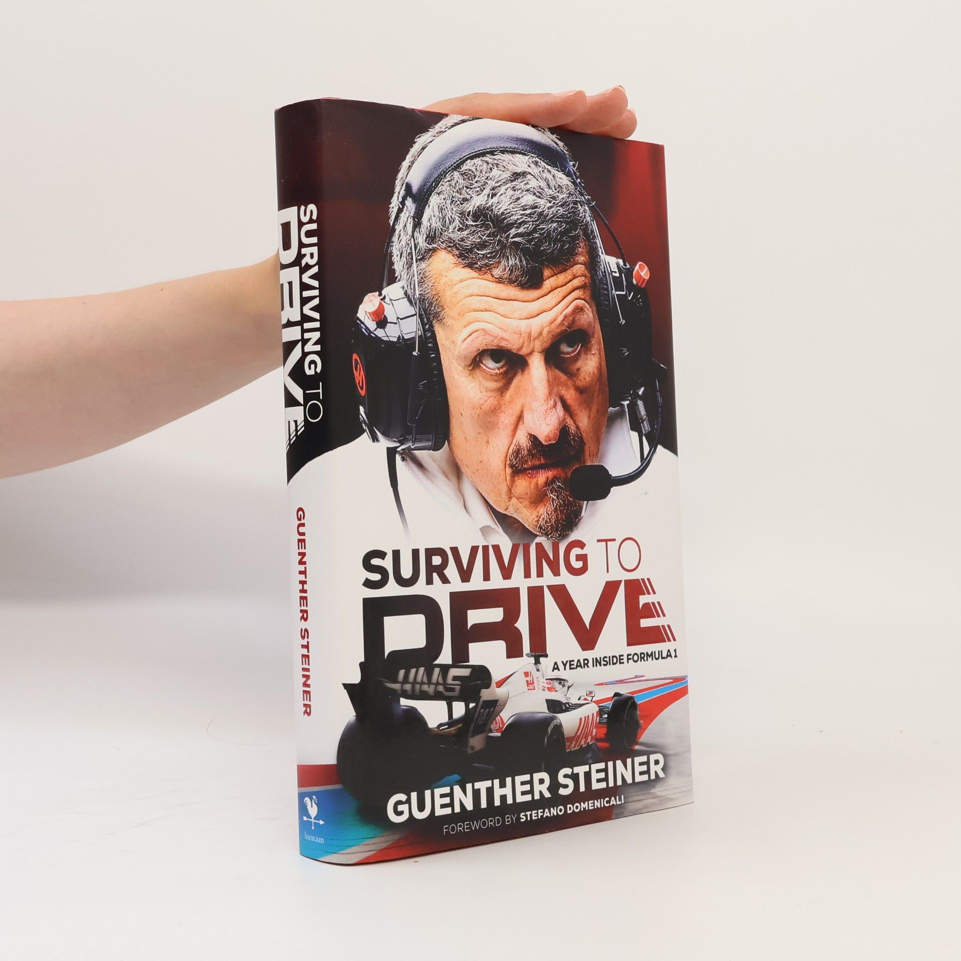 Guenther Steiner Surviving to Drive