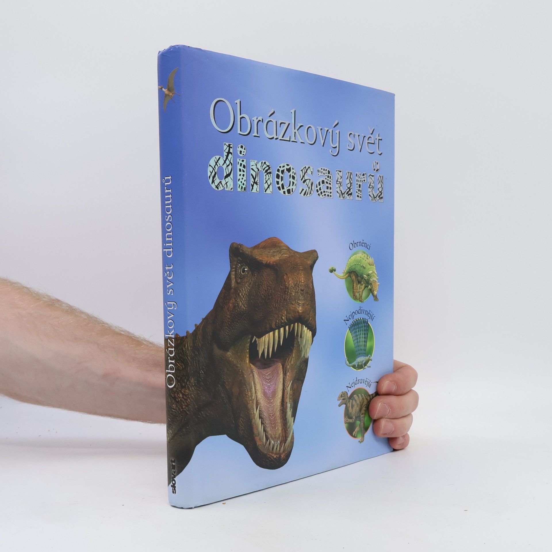 Norma Burgin Obrázkový svět dinosaurů