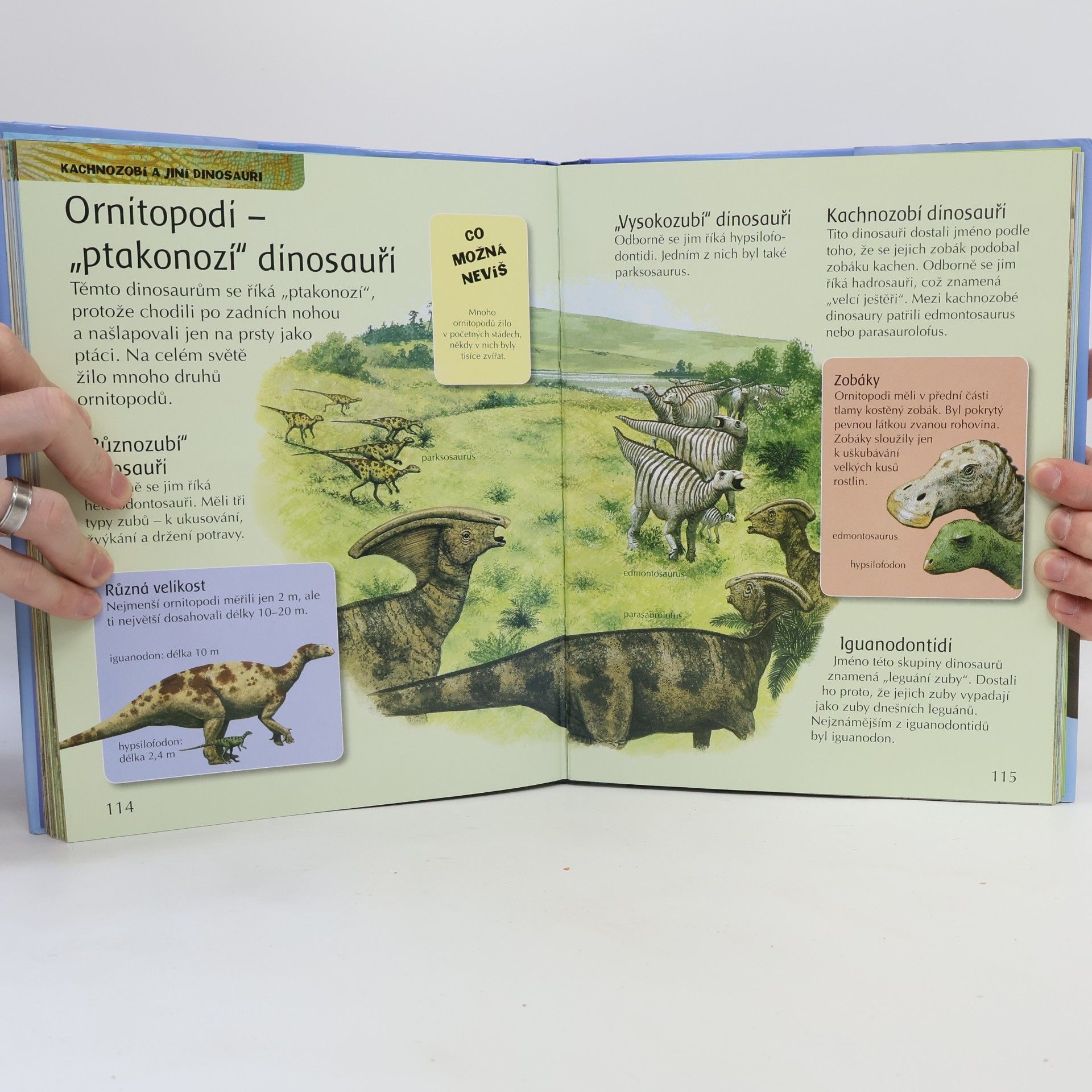 John Malam Obrázkový svět dinosaurů