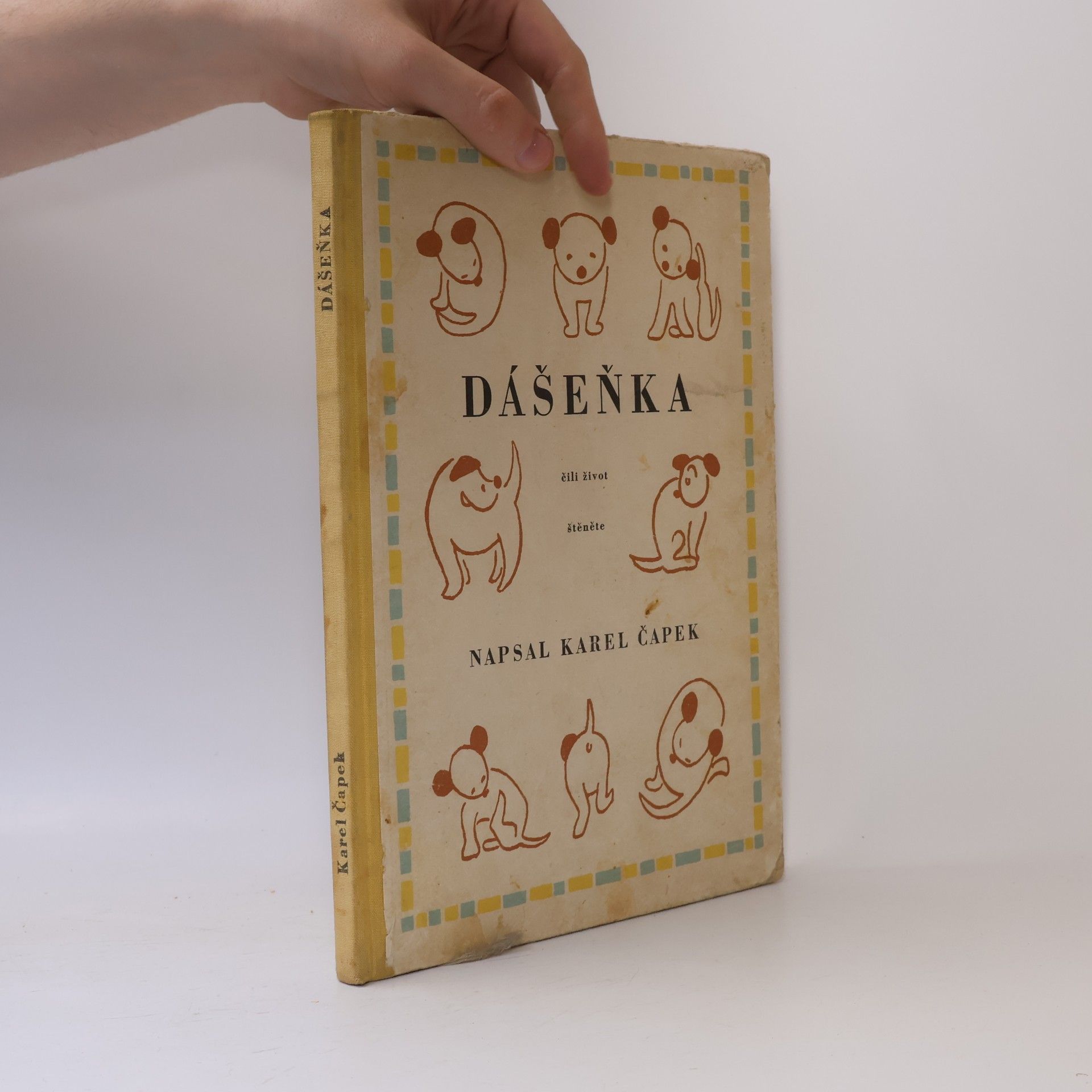 Karel Čapek Dášeňka, čili, život štěněte