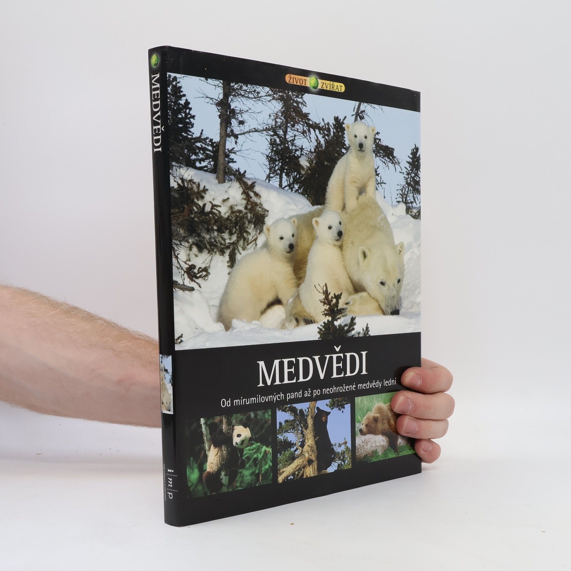 Hana Kendíková Medvědi