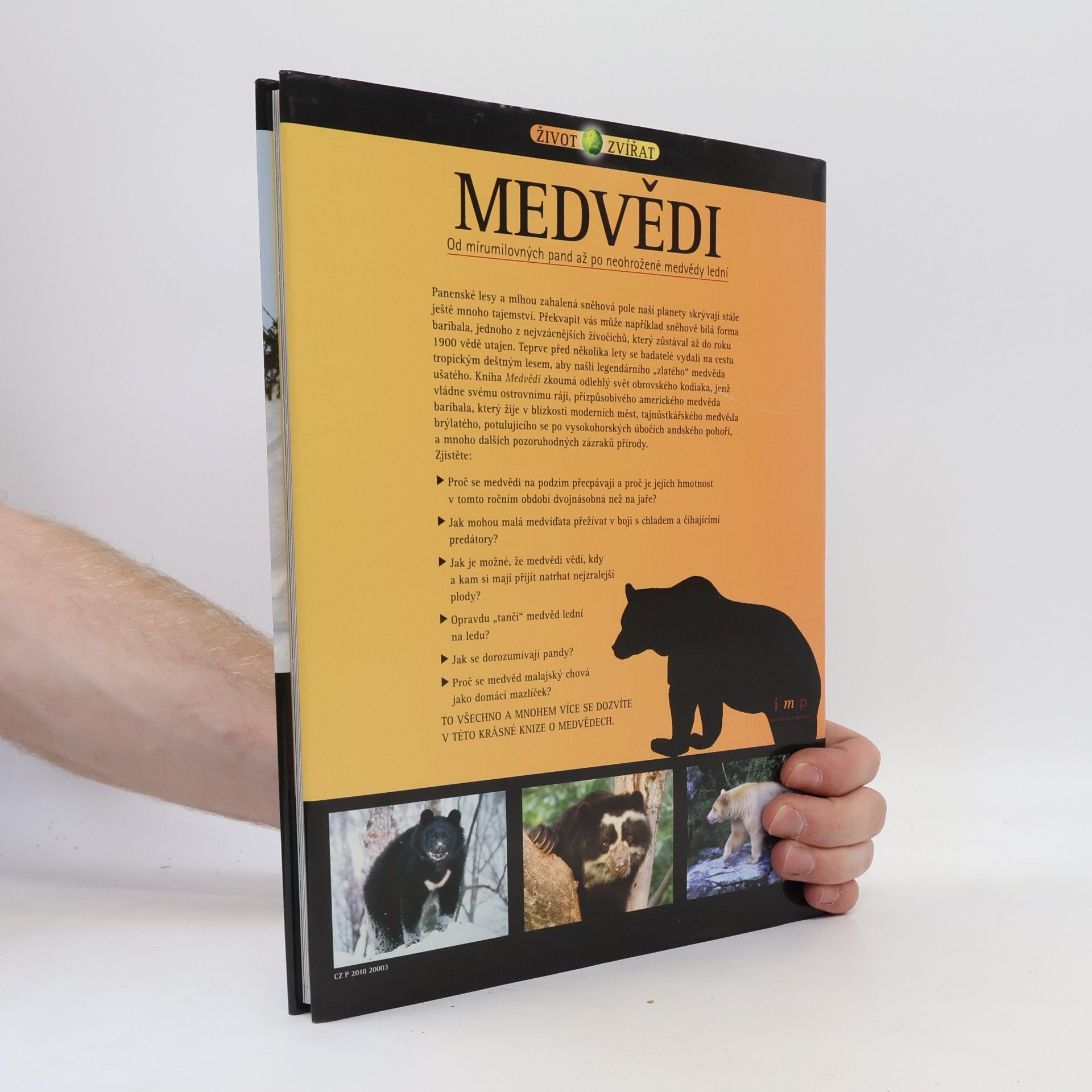 Hana Kendíková Medvědi