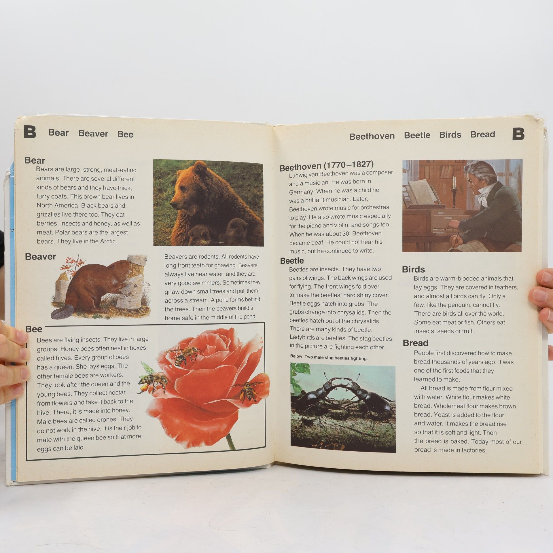 Rosemary Canter The A-Z Children's Encyclopedia