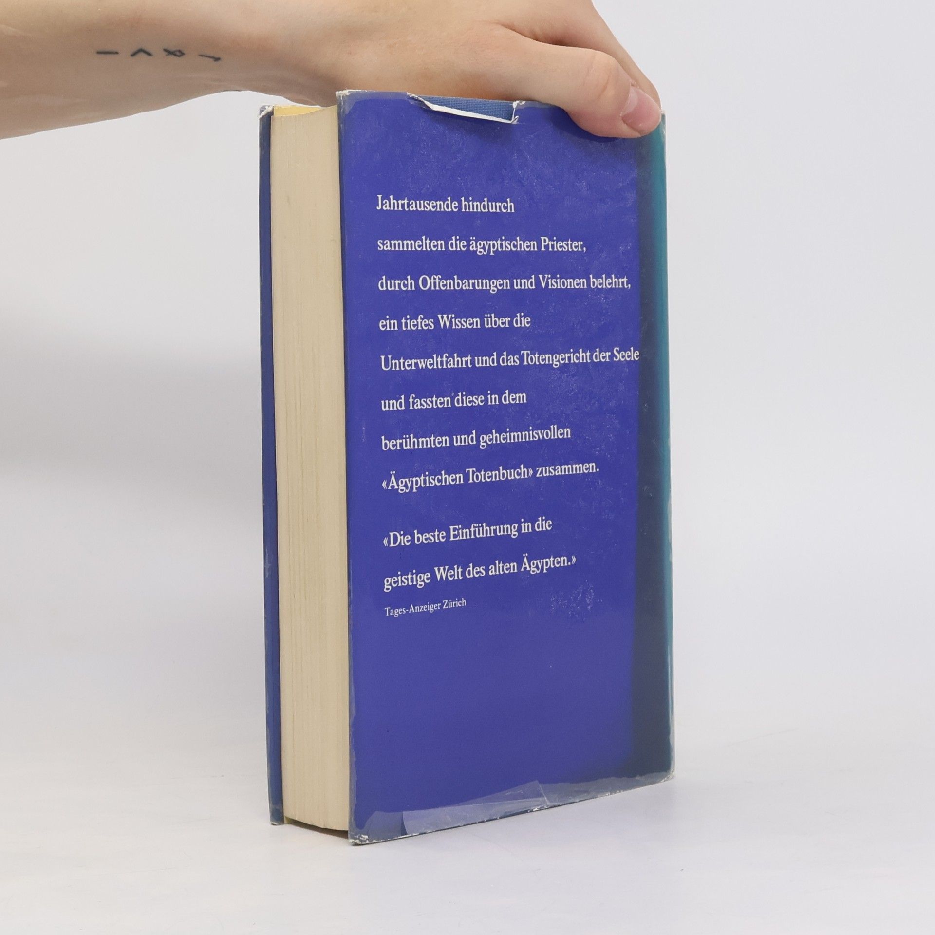 Grégoire Kolpaktchy Das Ägyptisches Totenbuch
