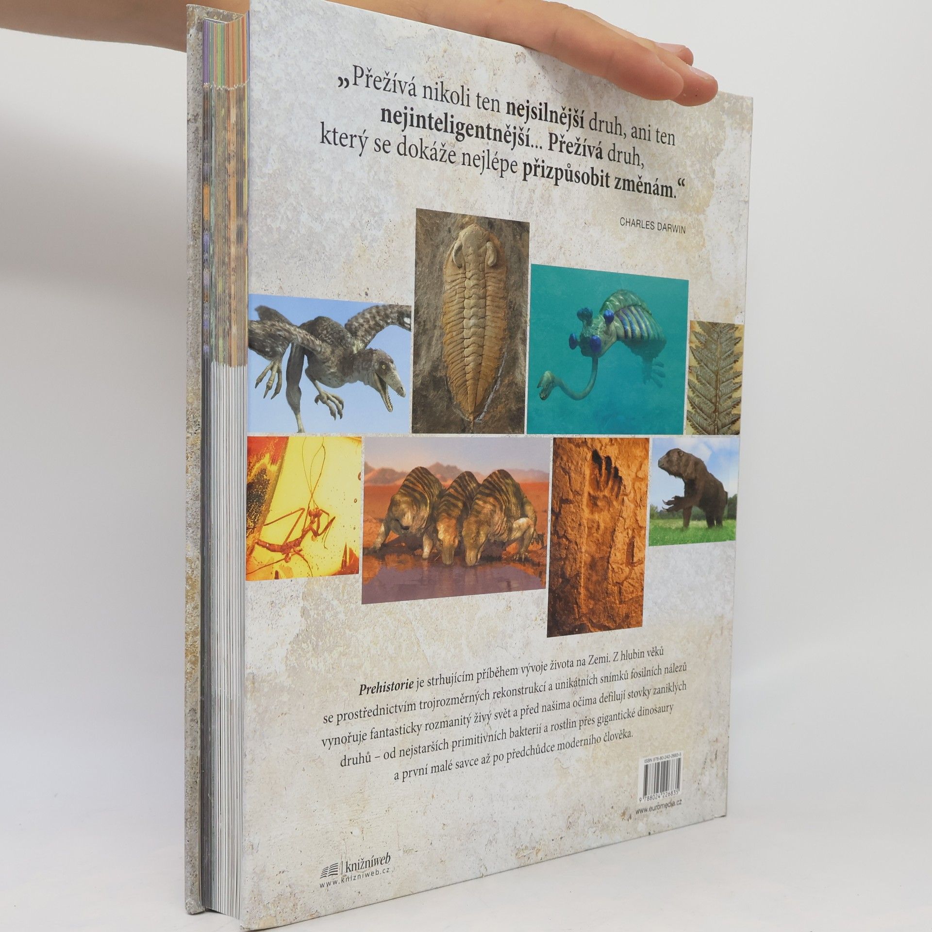 Douglas Palmer Prehistorie