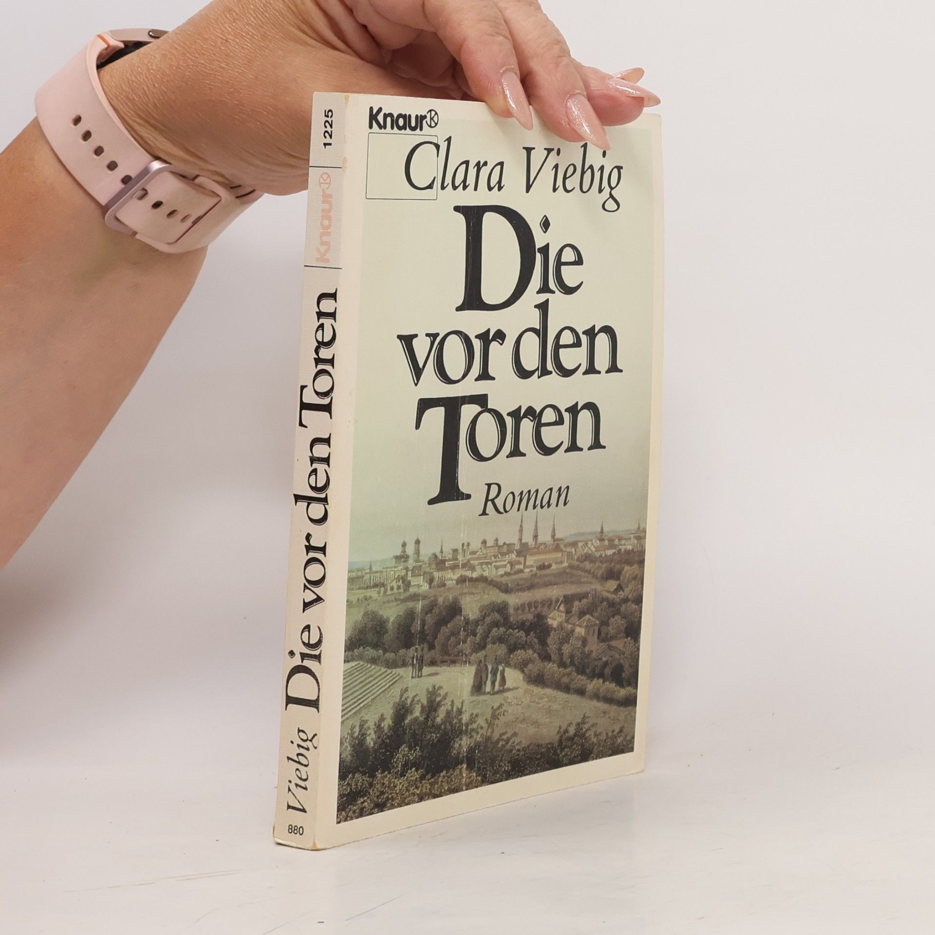 Clara Viebig Die vor den Toren