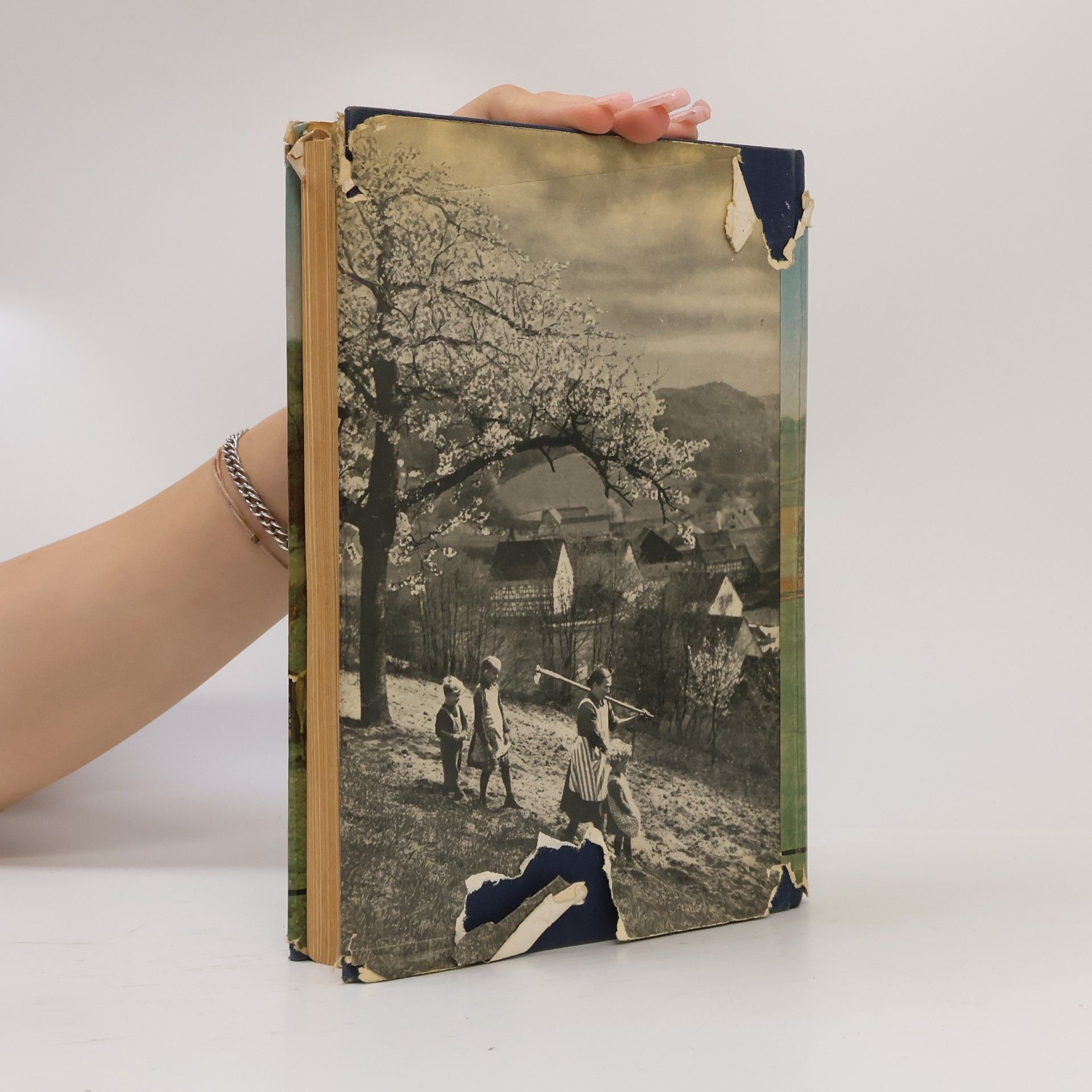 AA.VV. Das Buch des Bauern