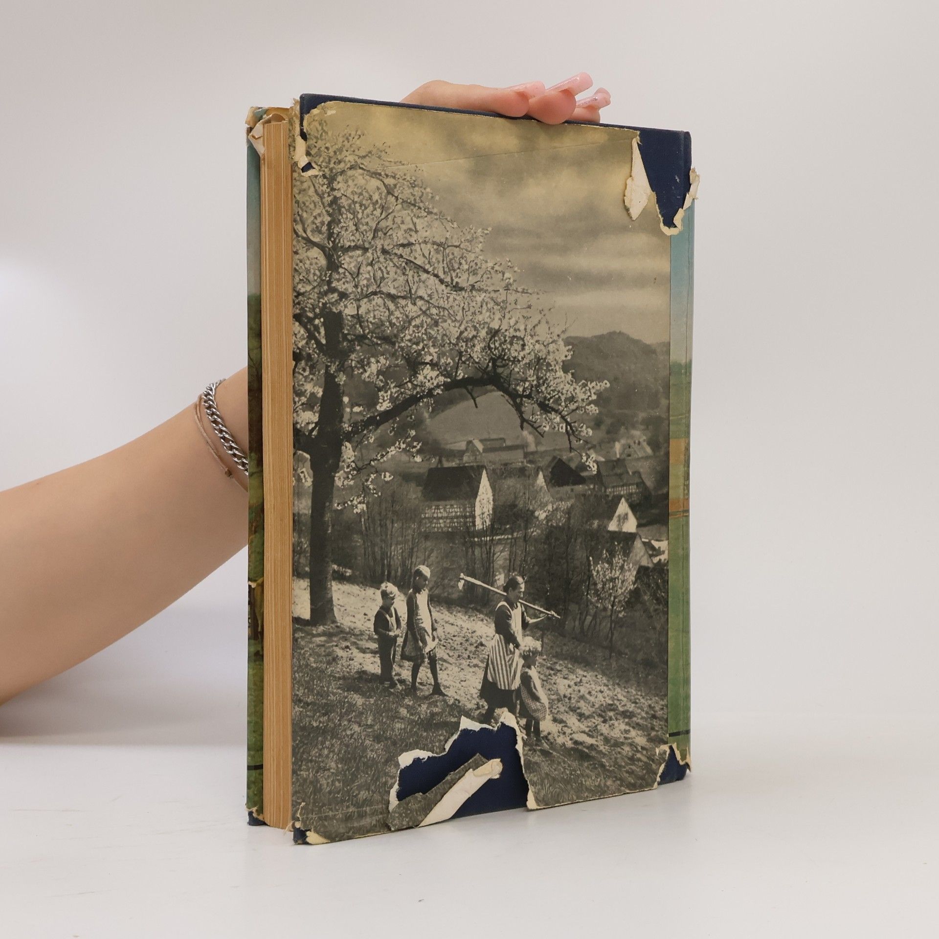 AA.VV. Das Buch des Bauern