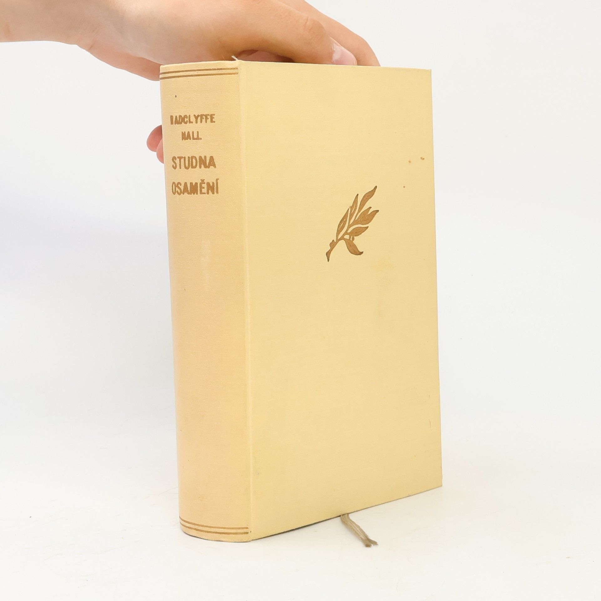 Radclyffe Hall Studna osamění