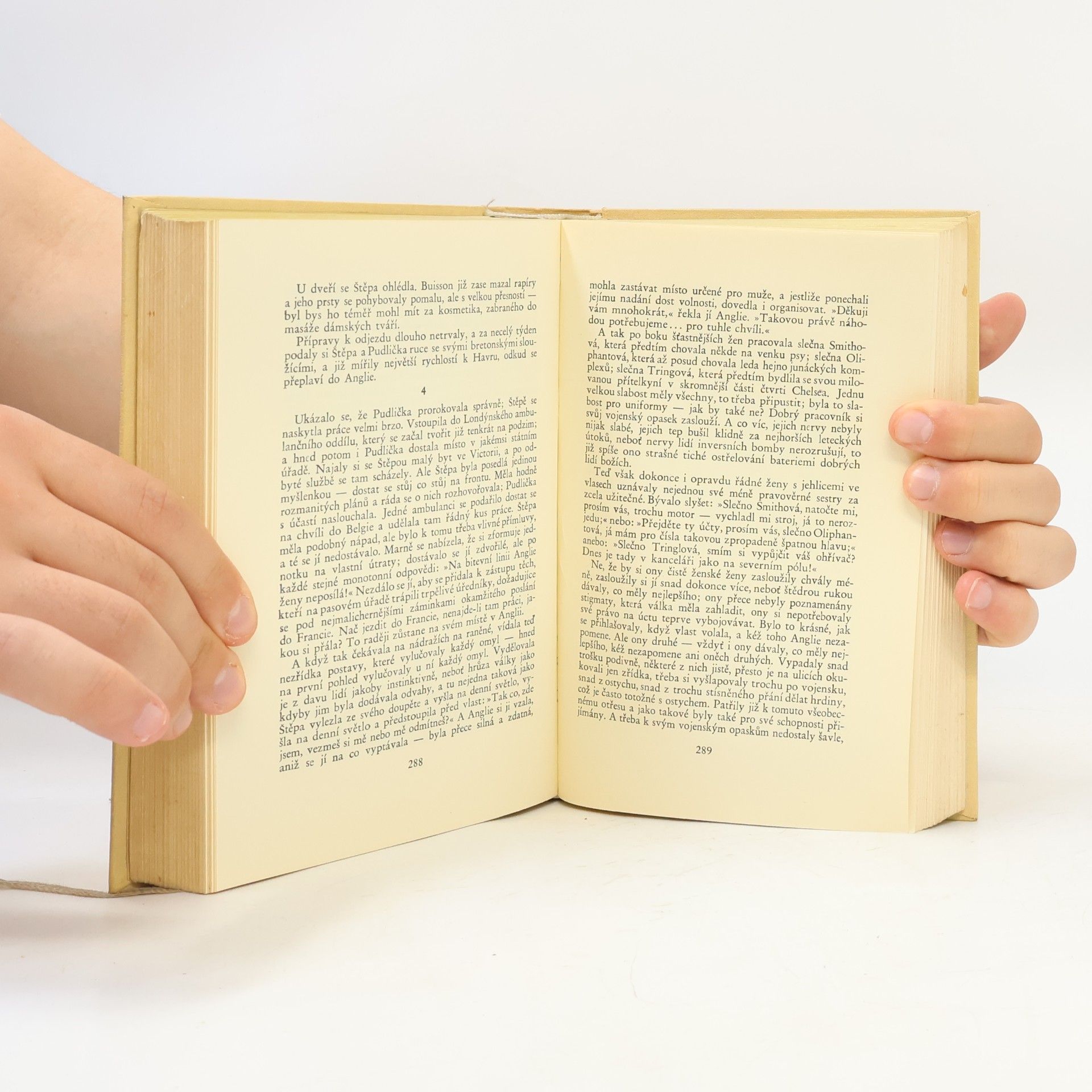 Radclyffe Hall Studna osamění