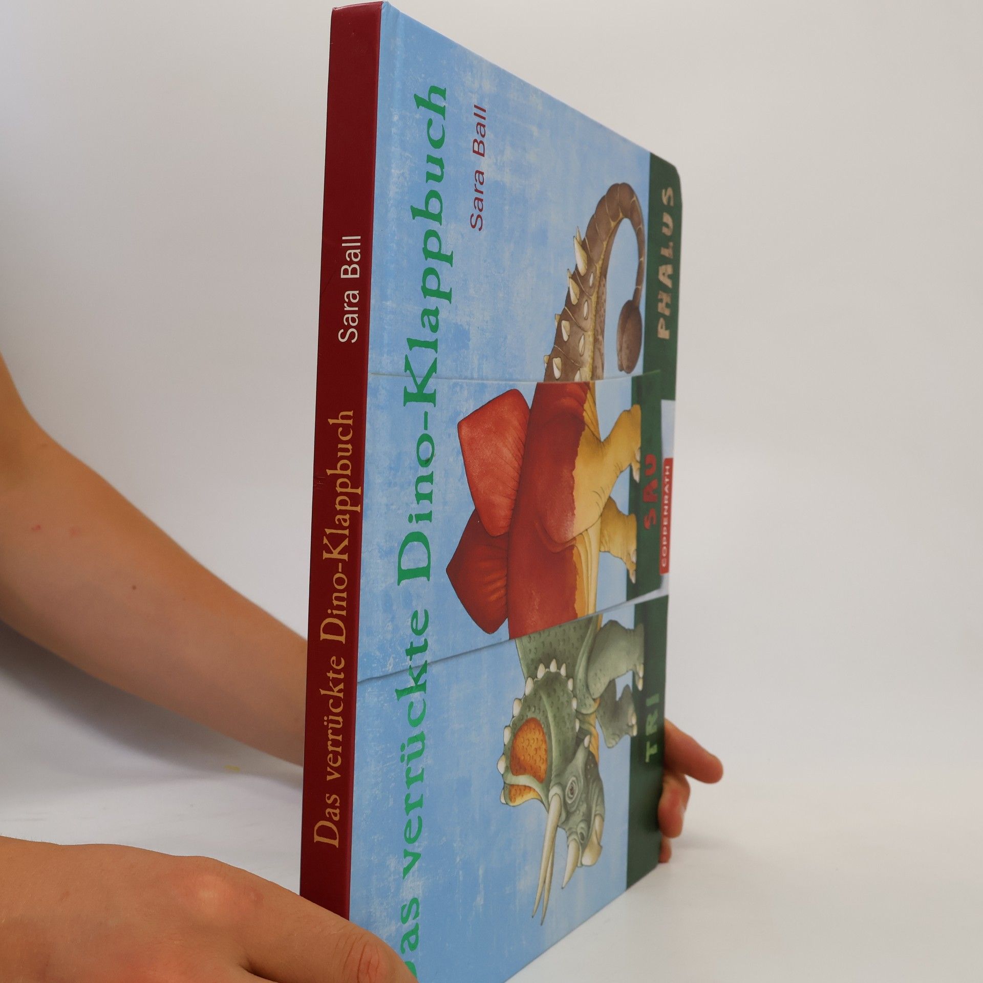 Das verrückte Dino-Klappbuch