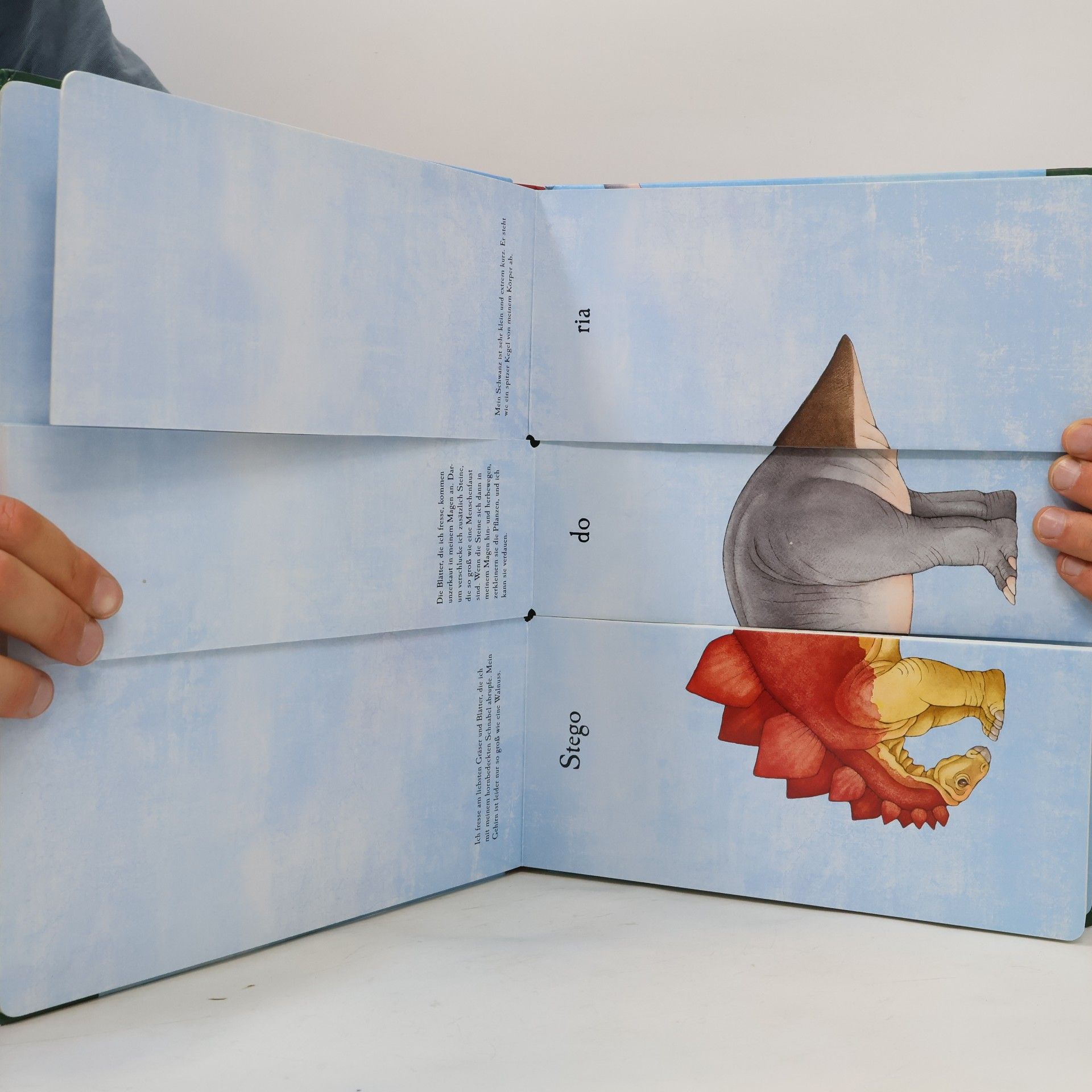 Sara Ball Das verrückte Dino-Klappbuch