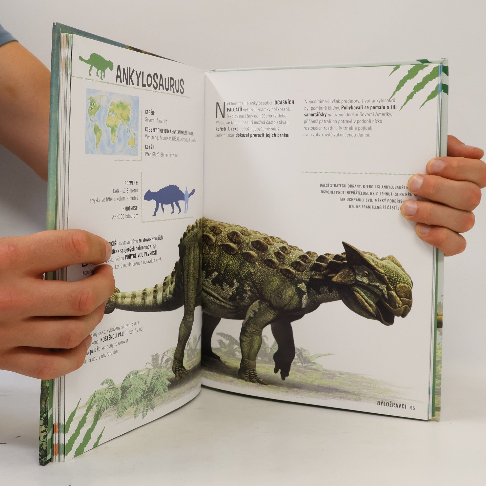 Román García Mora Vše o dinosaurech