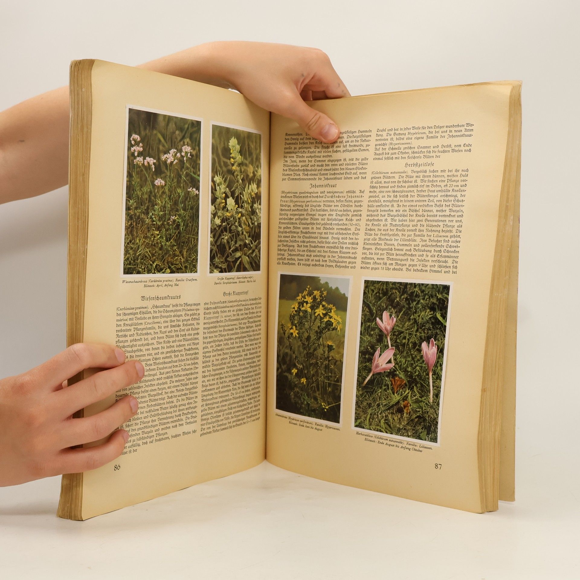 Walter Nöldner Aus Wald und Flur