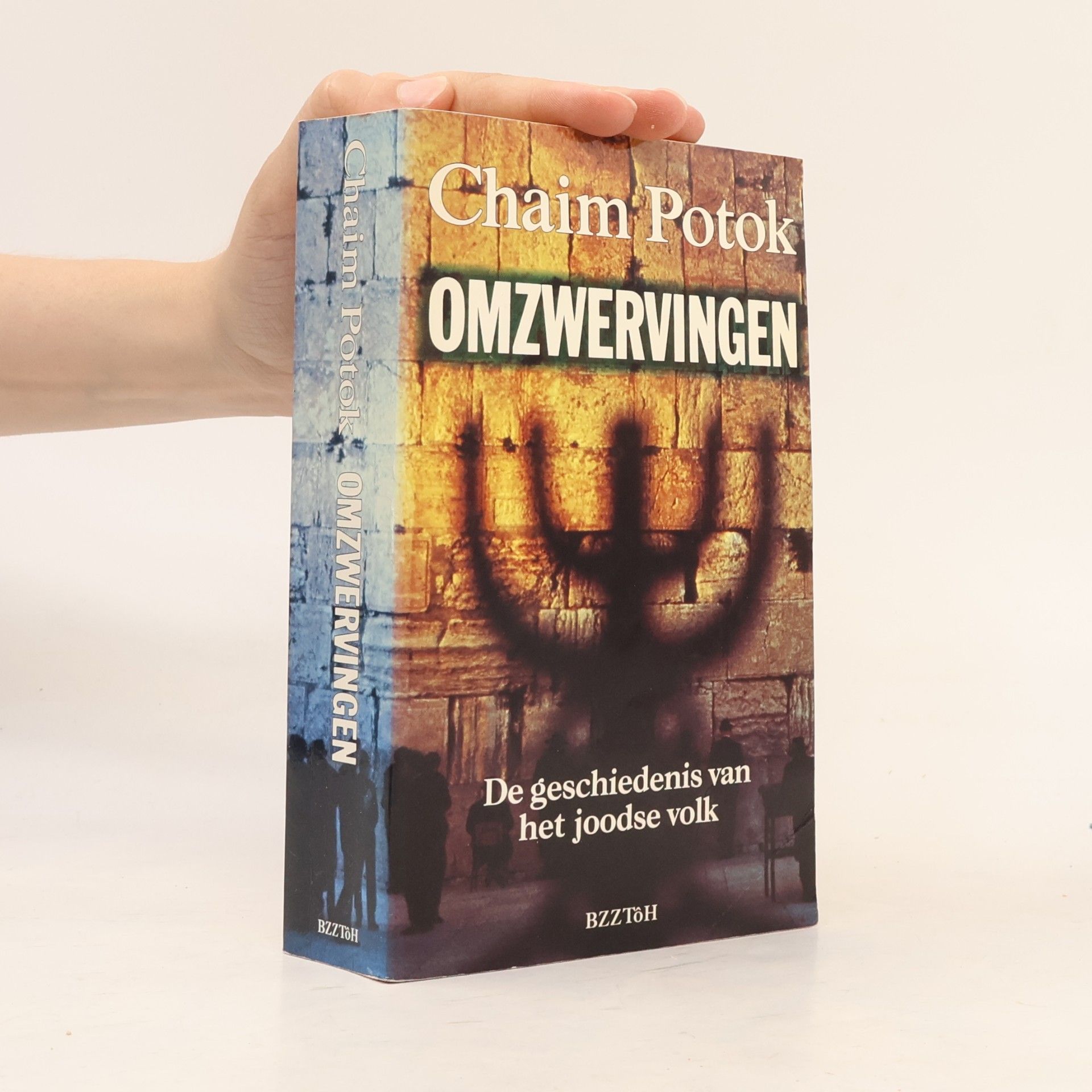 Chaim Potok Omzwervingen