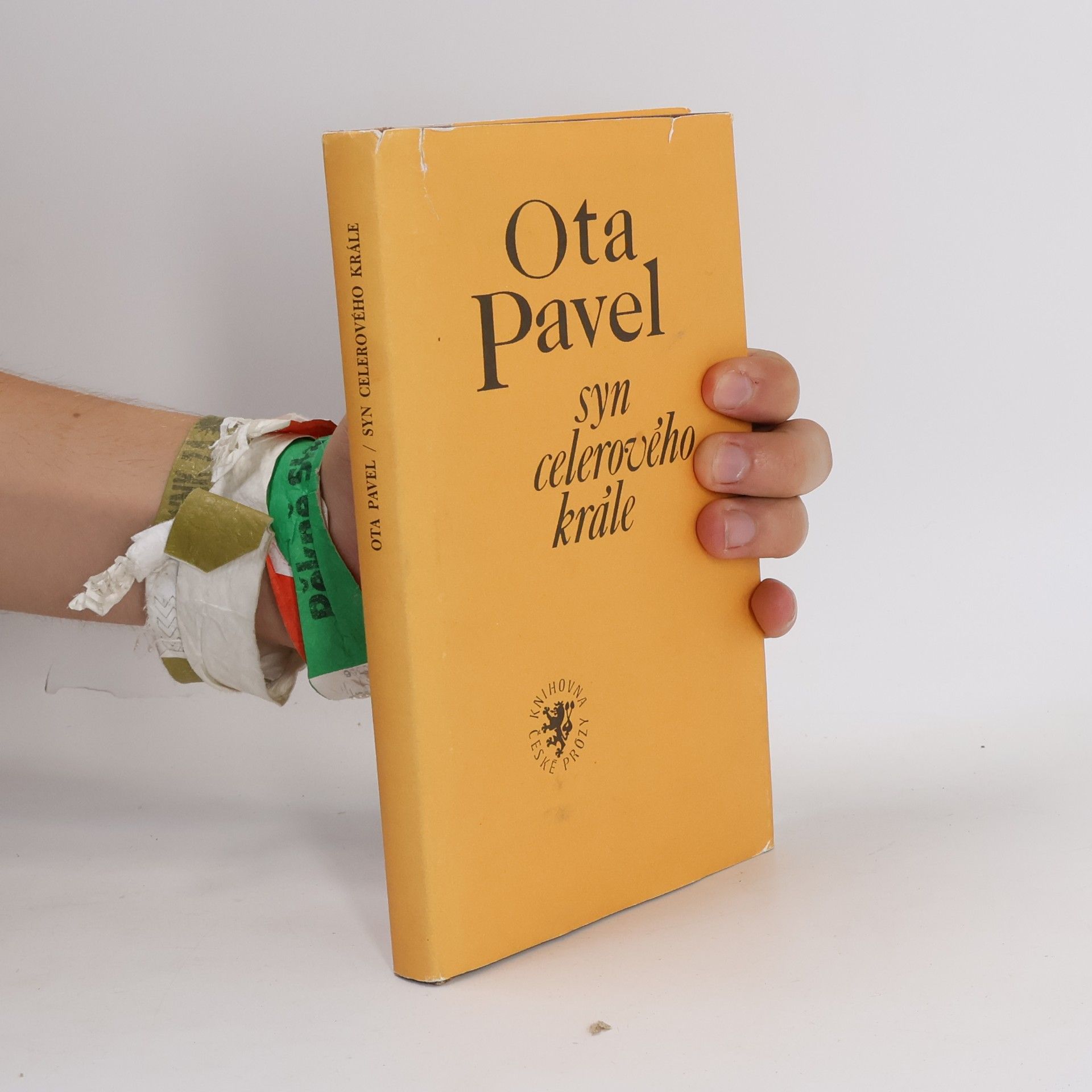 Ota Pavel Syn celerového krále