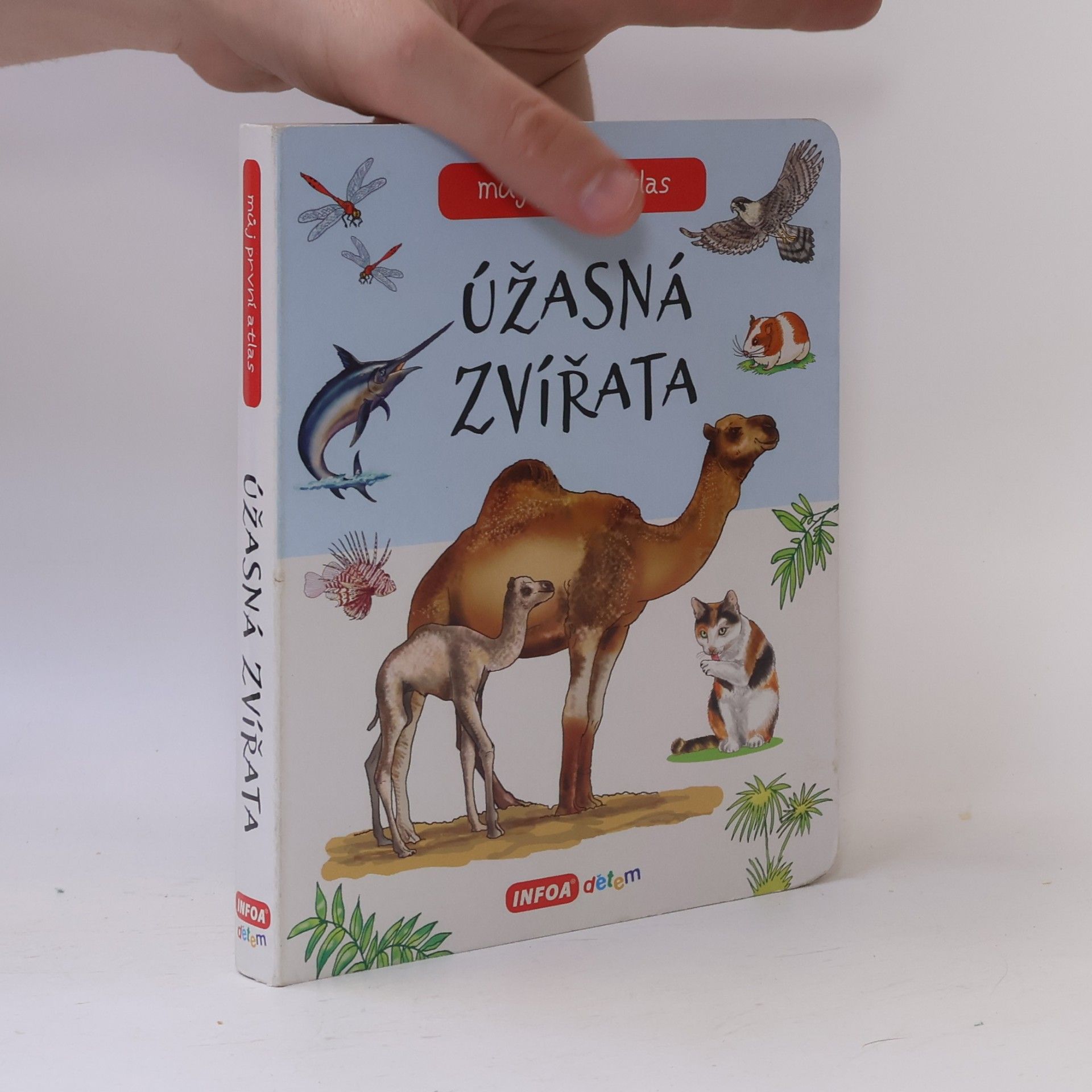 Infoa Můj první atlas - Úžasná zvířata