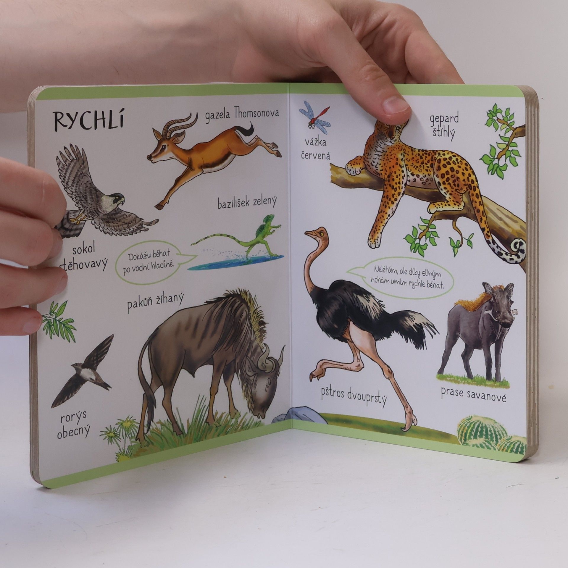 Infoa Můj první atlas - Úžasná zvířata