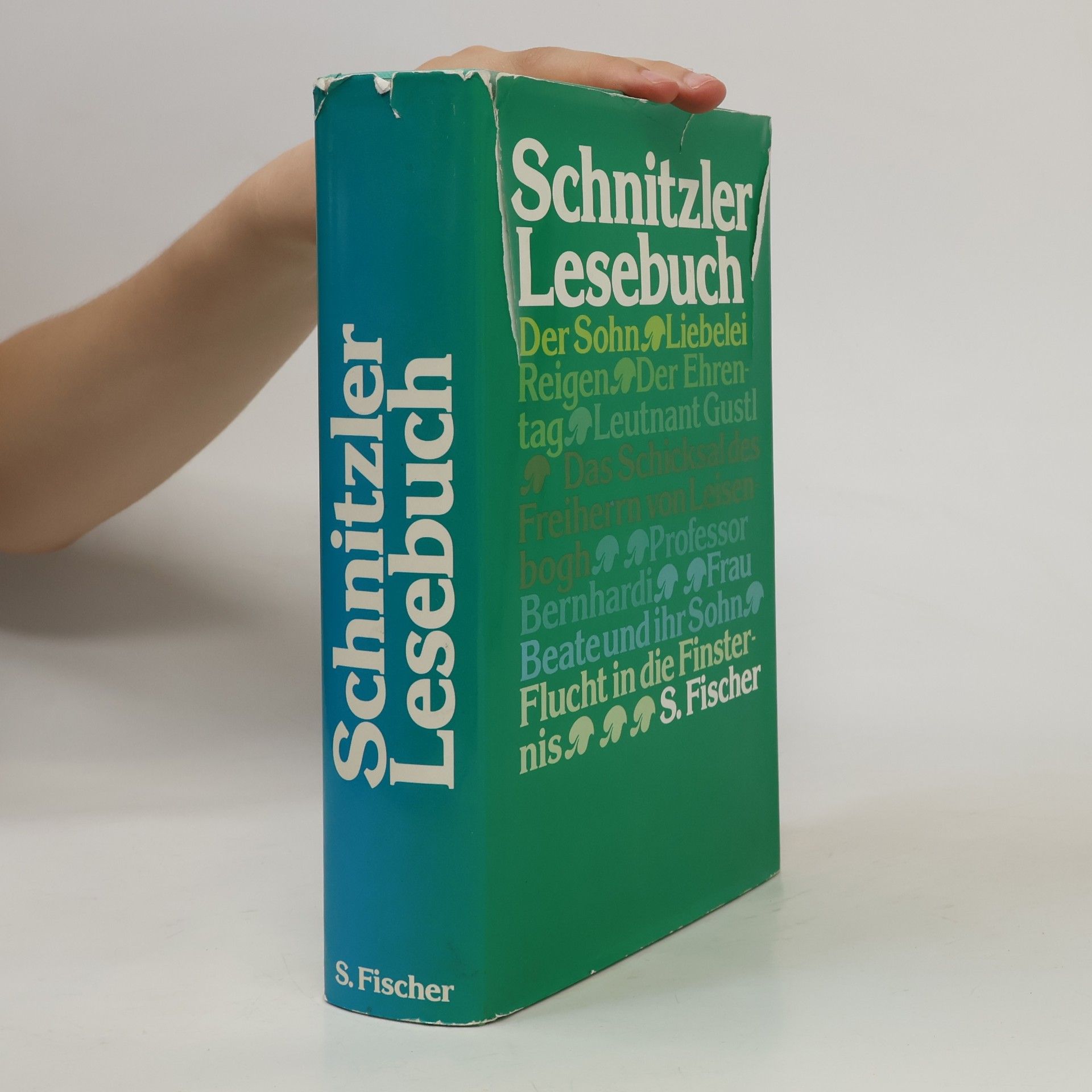 Arthur Schnitzler Lesebuch