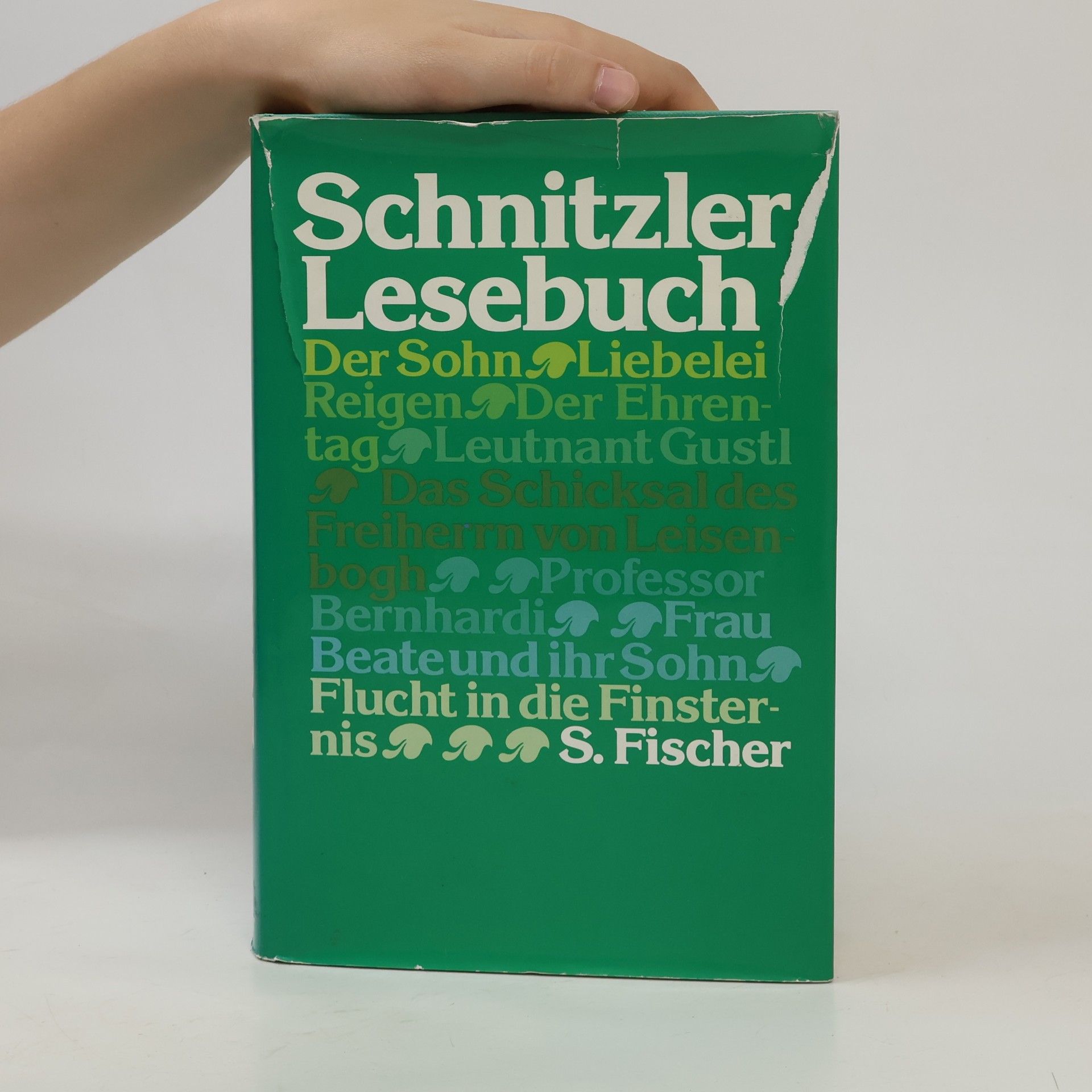 Arthur Schnitzler Lesebuch