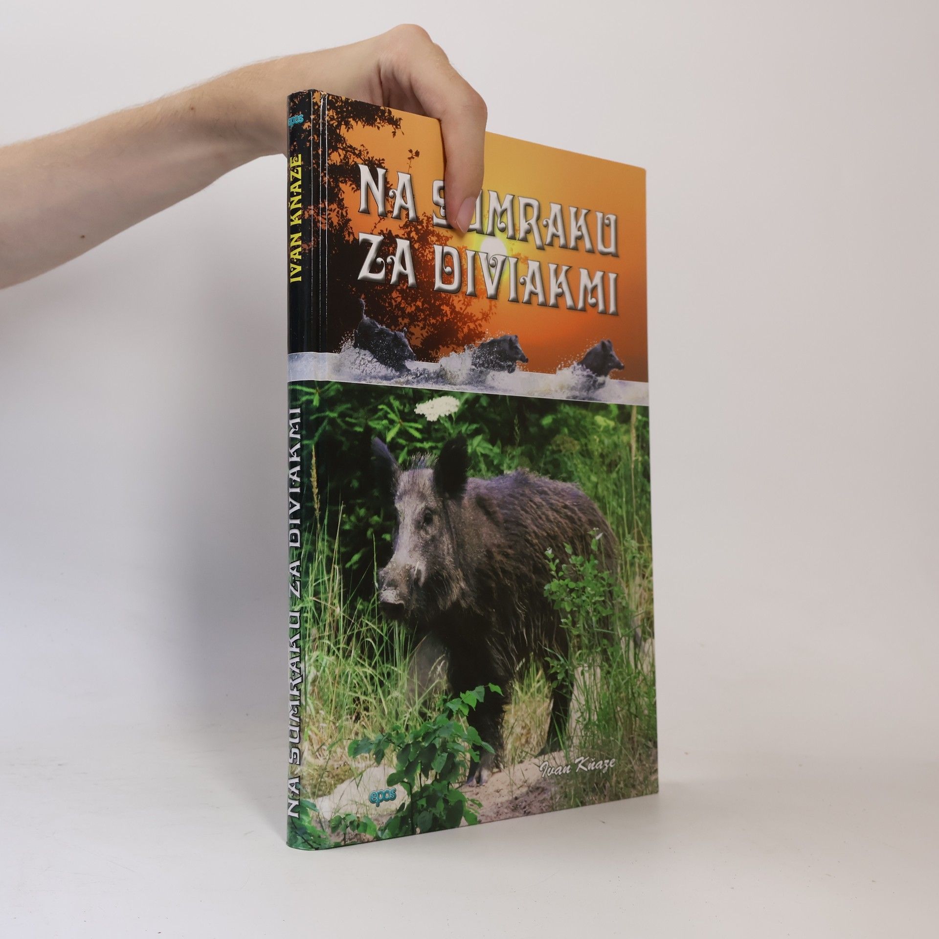 Na súmraku za diviakmi