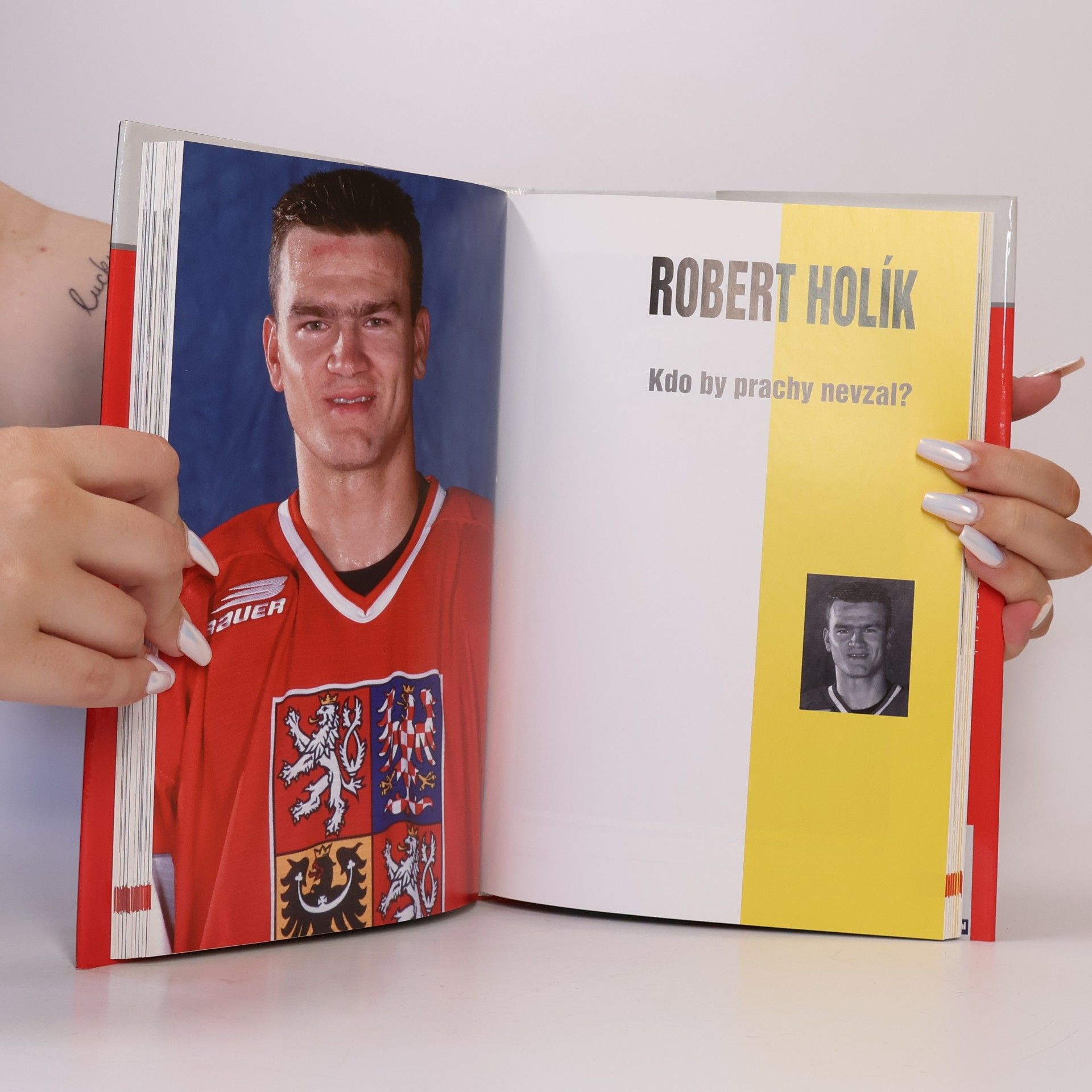 Jaroslav Kirchner Dynastie Holíků