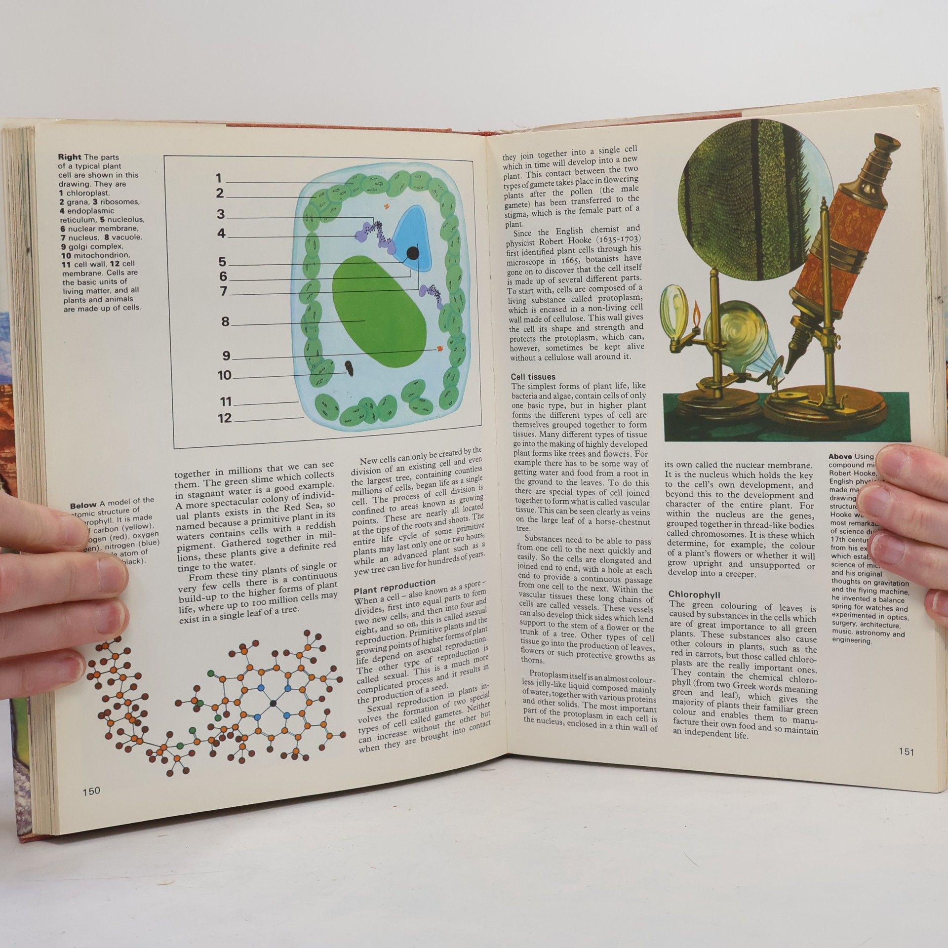 Kenneth Bailey The Hamlyn Children's Encyclopedia in Colour