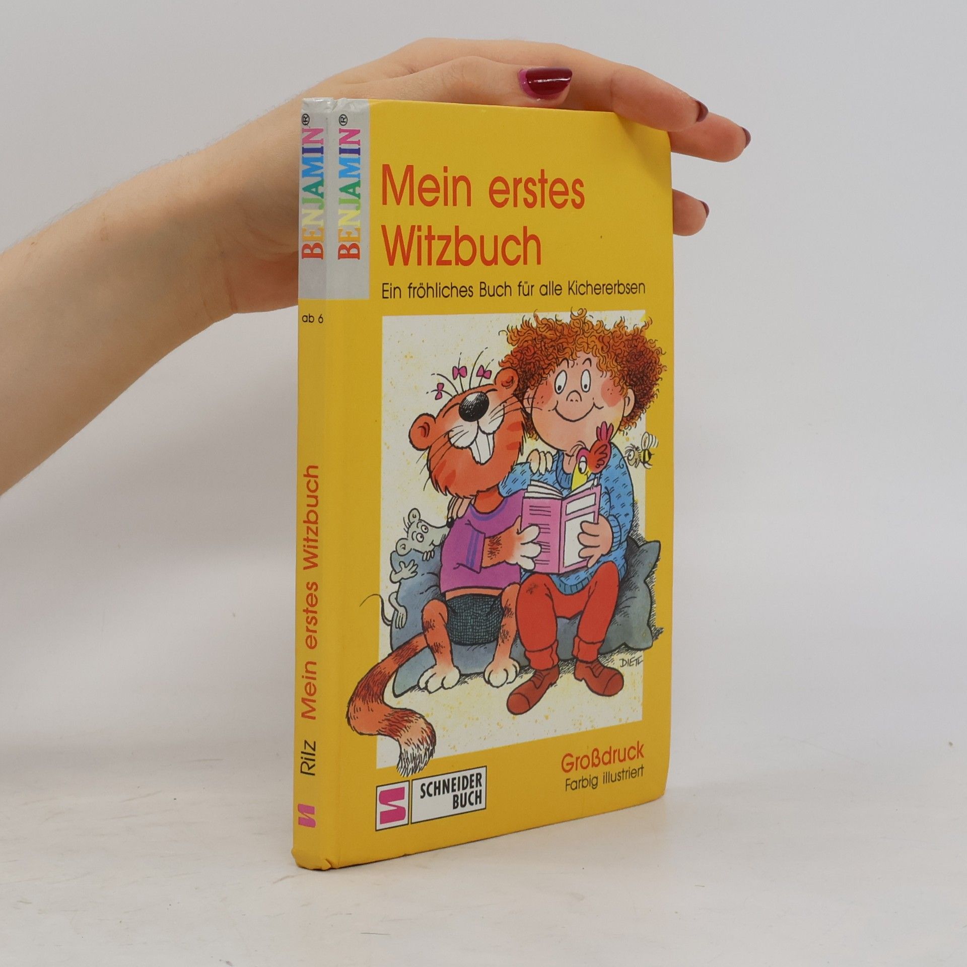 Kolektiv autorů Mein erstes Witzbuch