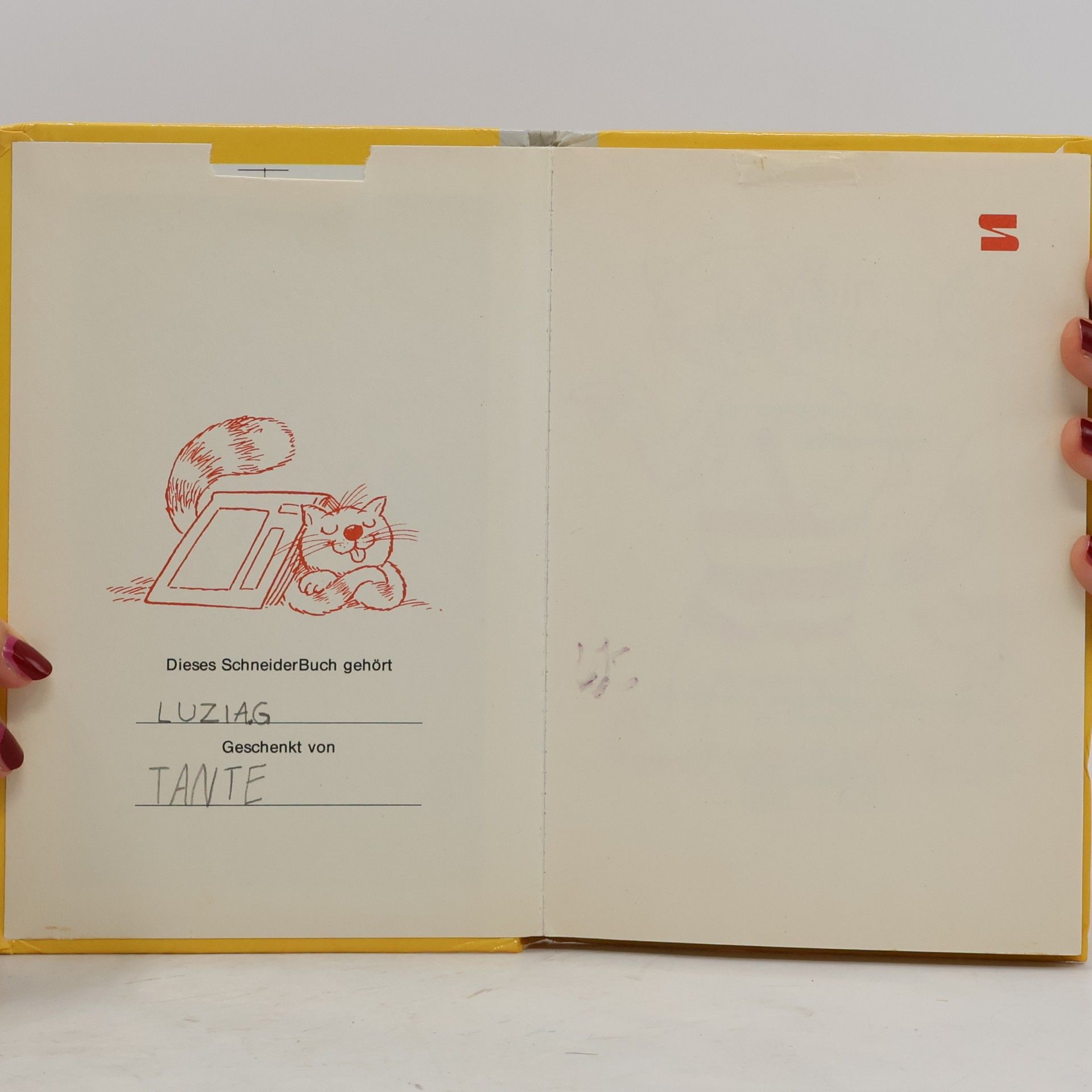 Mein erstes Witzbuch