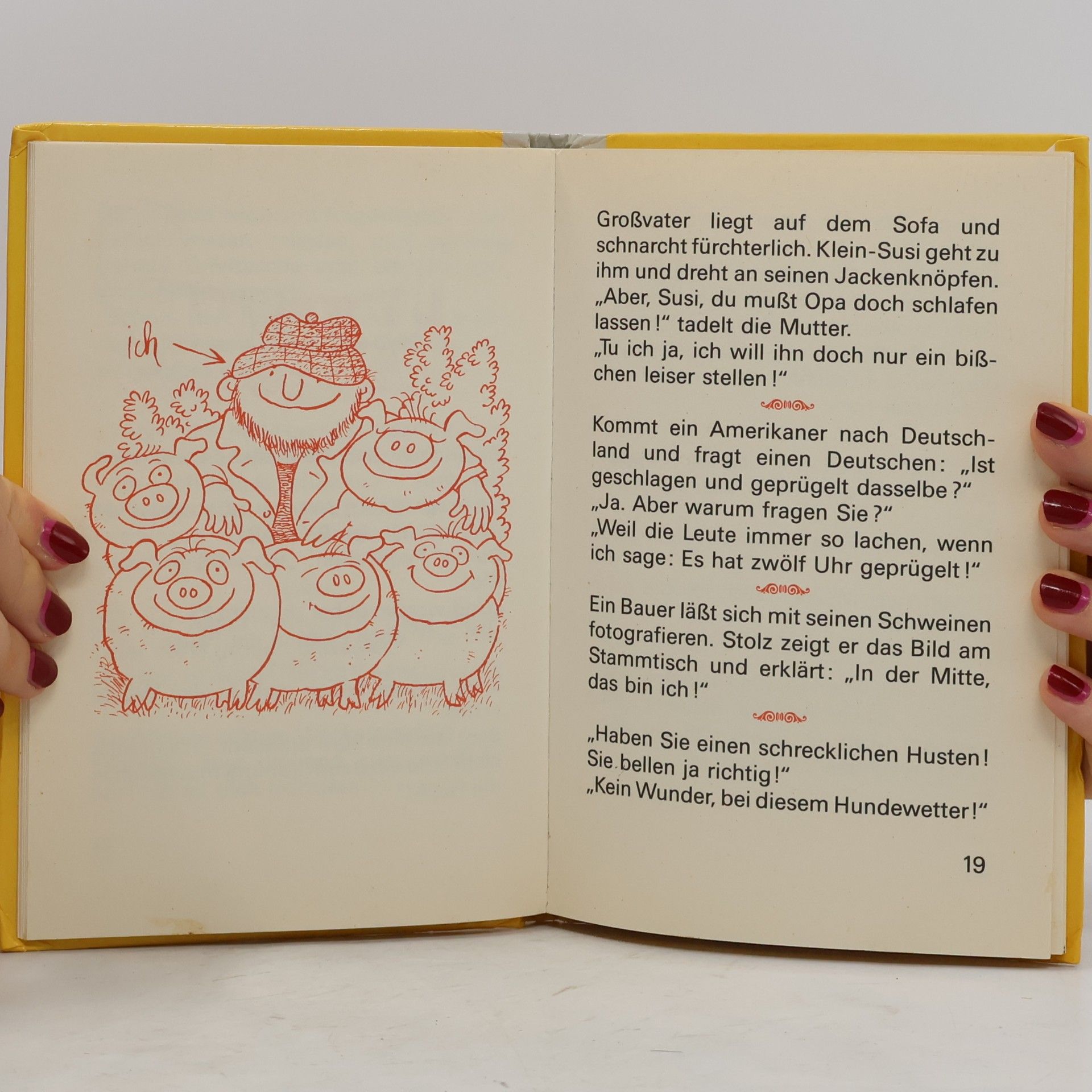 Mein erstes Witzbuch