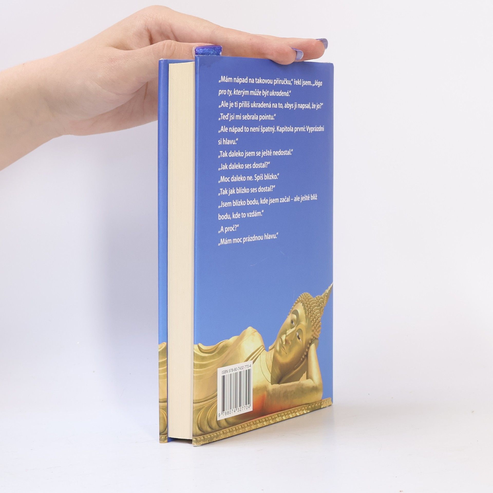 Geoff Dyer Jóga pro ty, kterým může být ukradená