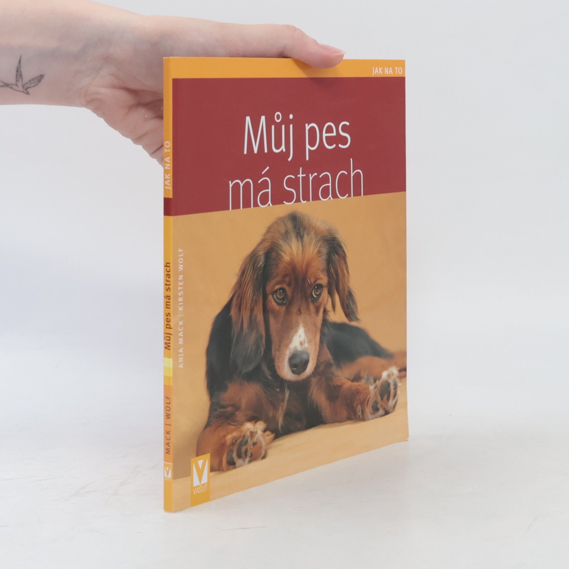 Anja Mack Můj pes má strach