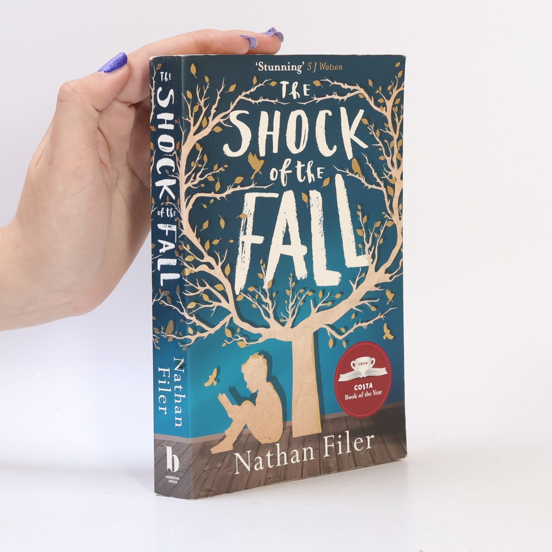 Nathan Filer The shock of the fall